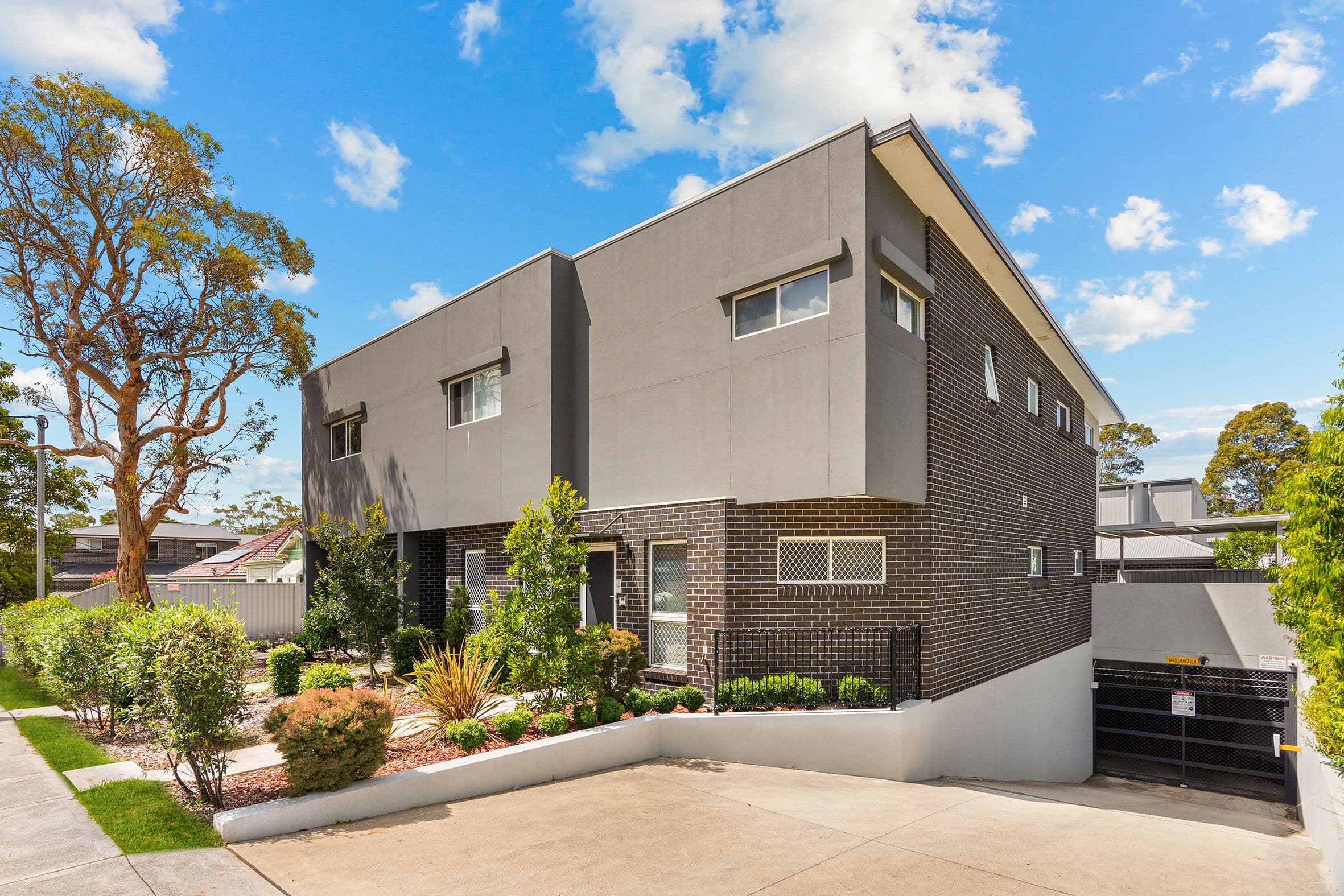 207 Targo Road, Girraween NSW 2145, Girraween - Thumbnail 2