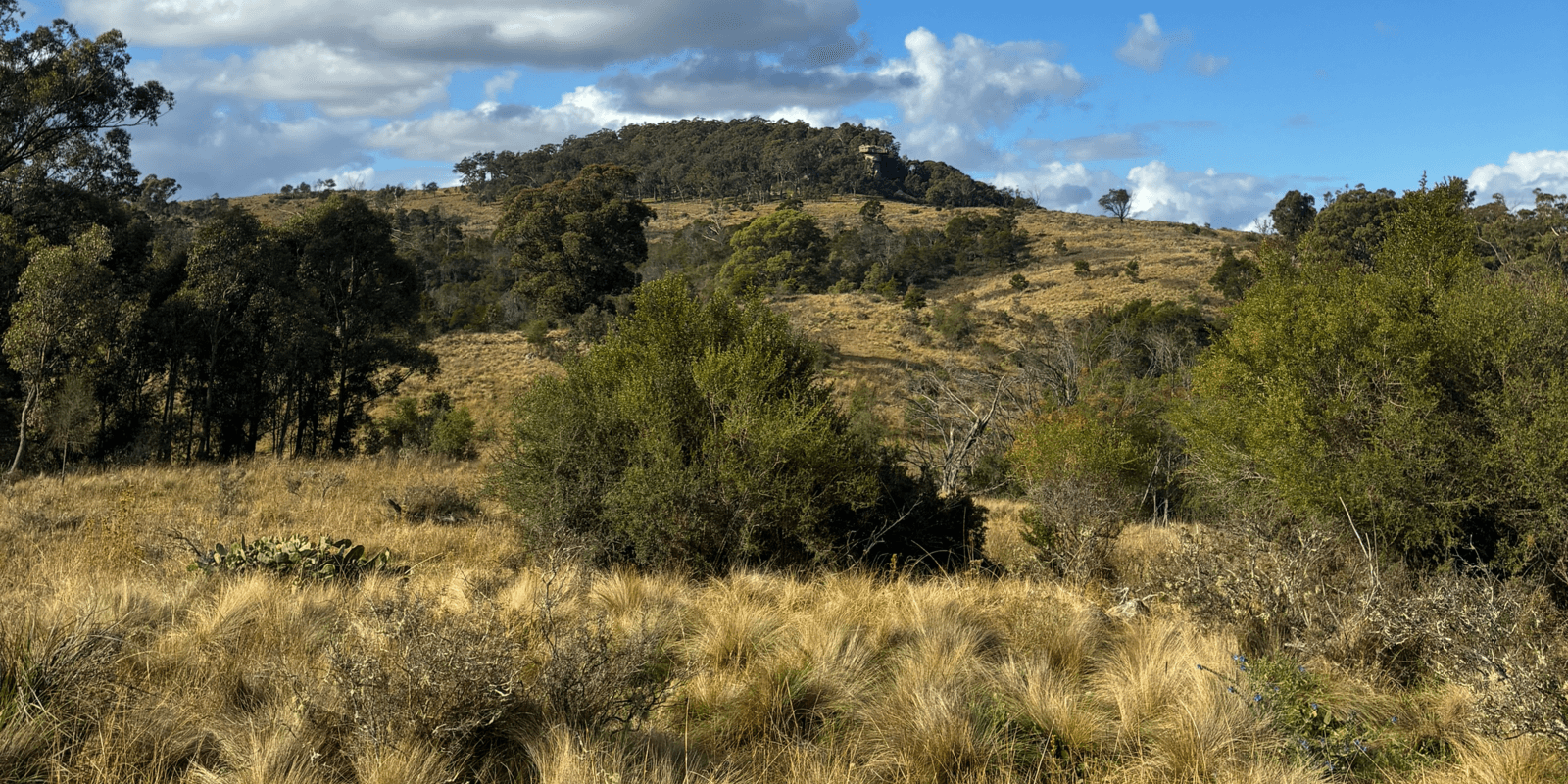 200 Pulpit Rock Road Bullio, Bullio - Thumbnail 4