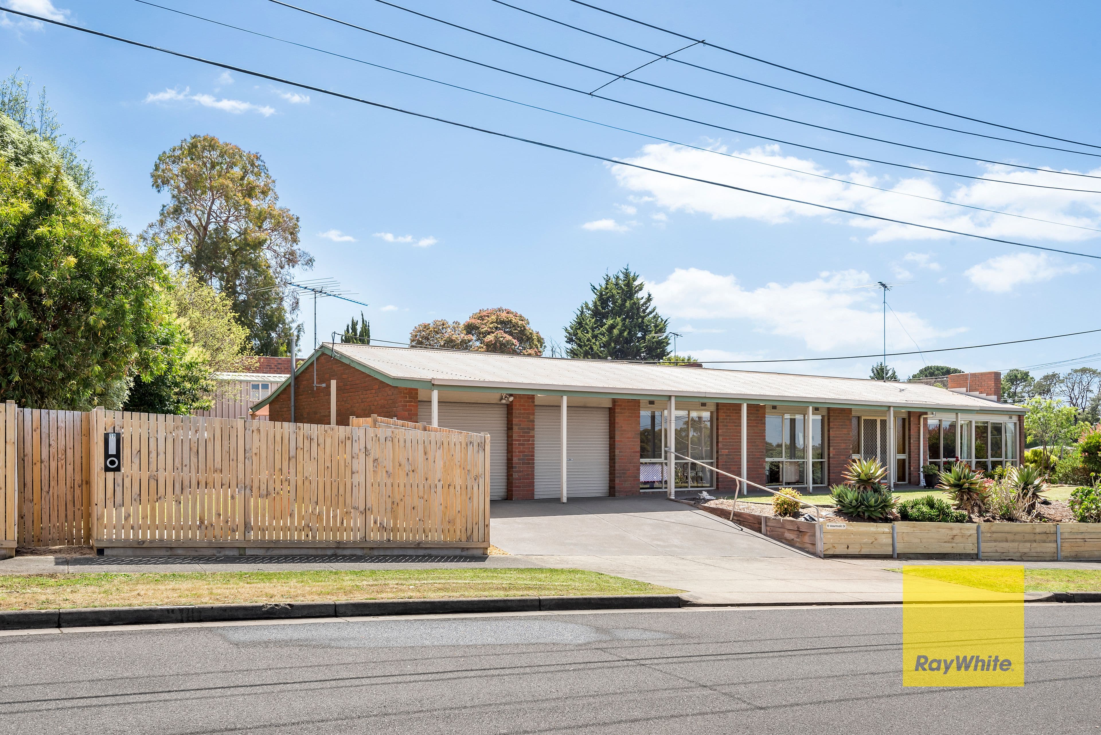 19 Waurnvale Drive, Belmont VIC 3216, Belmont - Image 1