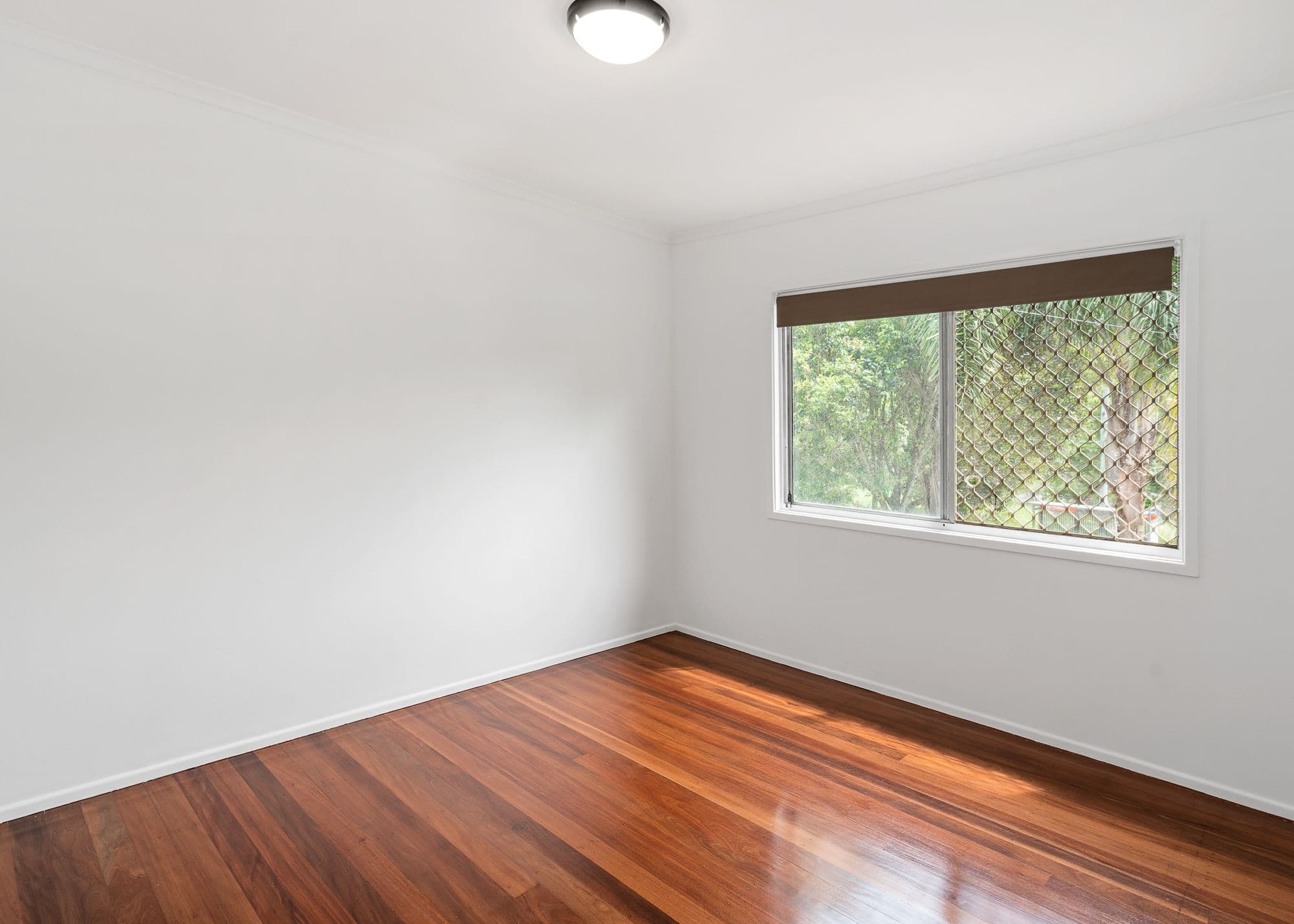 167 Jacaranda Avenue, Kingston QLD 4114, Kingston - Thumbnail 8