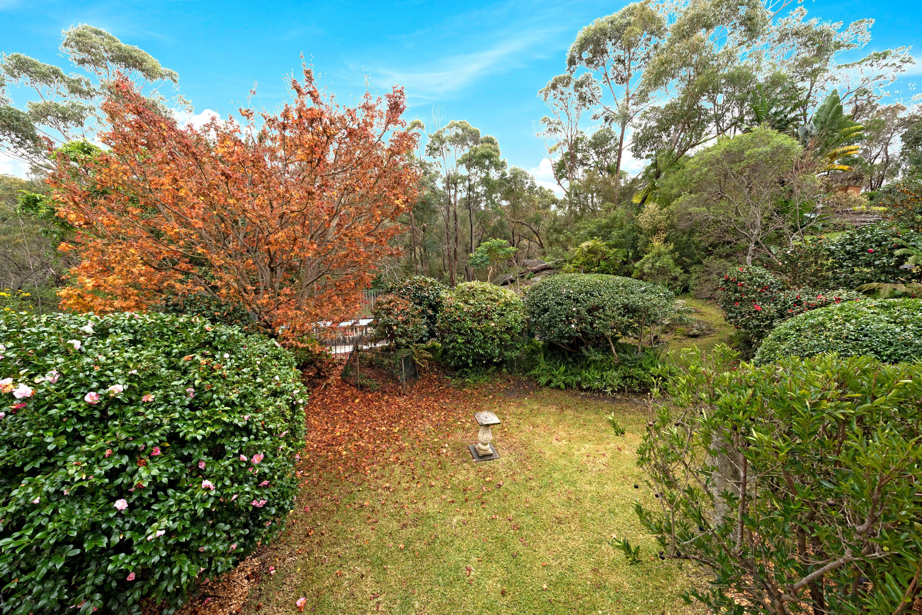 22 Londonderry Drive, Killarney Heights NSW 2087, Killarney Heights - Thumbnail 2