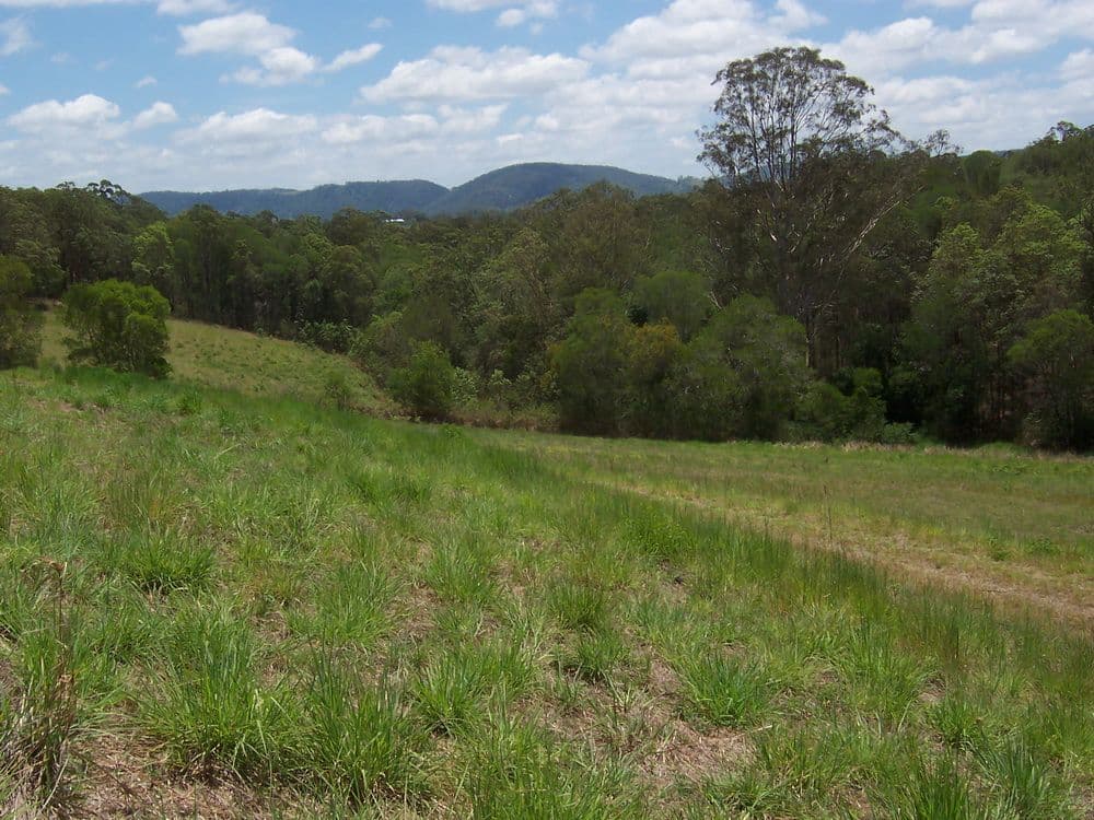 Lot 1 Mimburi Place, ARMSTRONG CREEK QLD 4520, Armstrong Creek - Image 1
