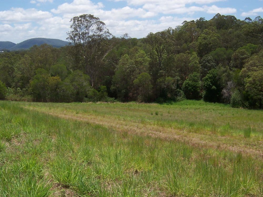Lot 1 Mimburi Place, ARMSTRONG CREEK QLD 4520, Armstrong Creek - Thumbnail 4