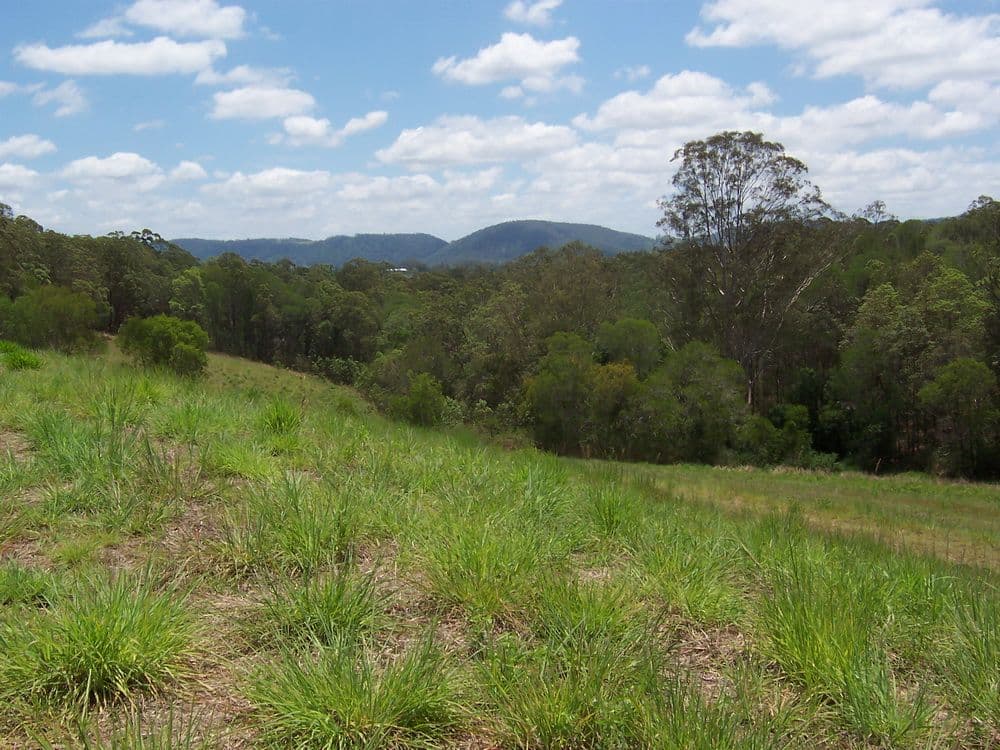 Lot 1 Mimburi Place, ARMSTRONG CREEK QLD 4520, Armstrong Creek - Thumbnail 5