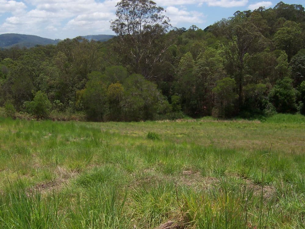 Lot 1 Mimburi Place, ARMSTRONG CREEK QLD 4520, Armstrong Creek - Thumbnail 6