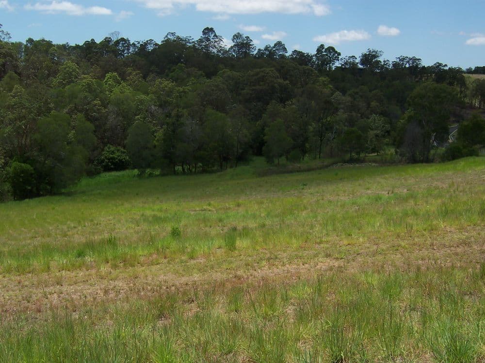 Lot 1 Mimburi Place, ARMSTRONG CREEK QLD 4520, Armstrong Creek - Thumbnail 7