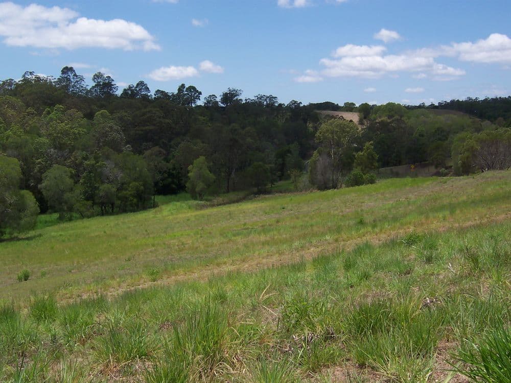 Lot 1 Mimburi Place, ARMSTRONG CREEK QLD 4520, Armstrong Creek - Thumbnail 8