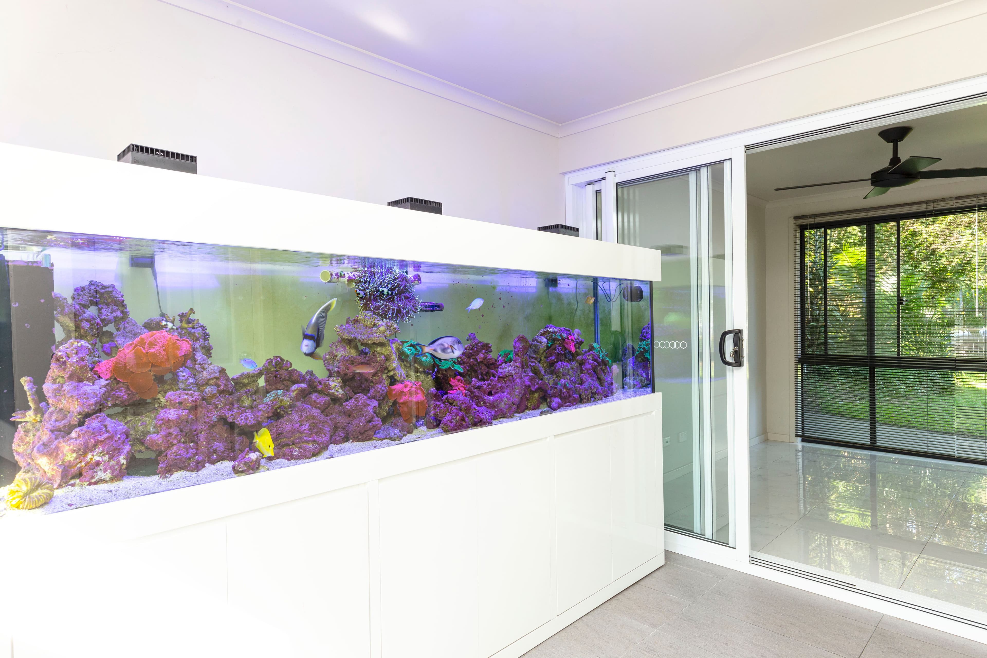 38 Kurrawong Avenue, Hawks Nest NSW 2324, Hawks Nest - Thumbnail 6