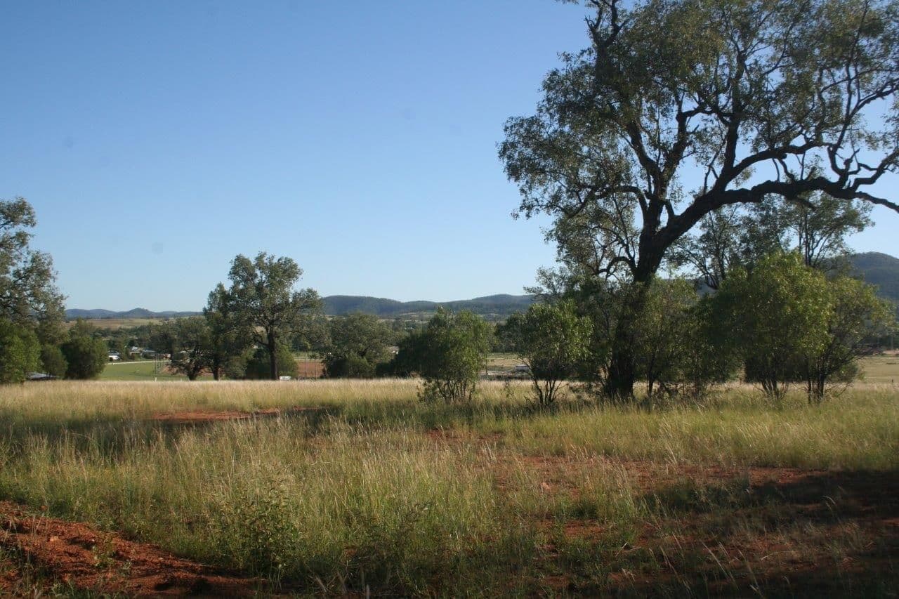 L3 Narrabri Road, Bingara NSW 2404, Bingara - Thumbnail 4