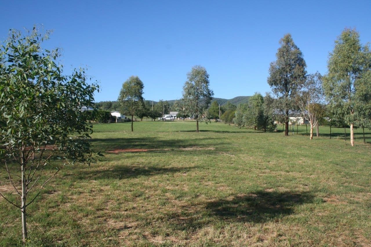 L3 Narrabri Road, Bingara NSW 2404, Bingara - Thumbnail 6