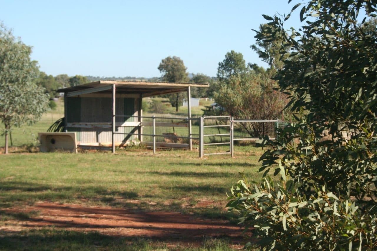 L3 Narrabri Road, Bingara NSW 2404, Bingara - Thumbnail 8