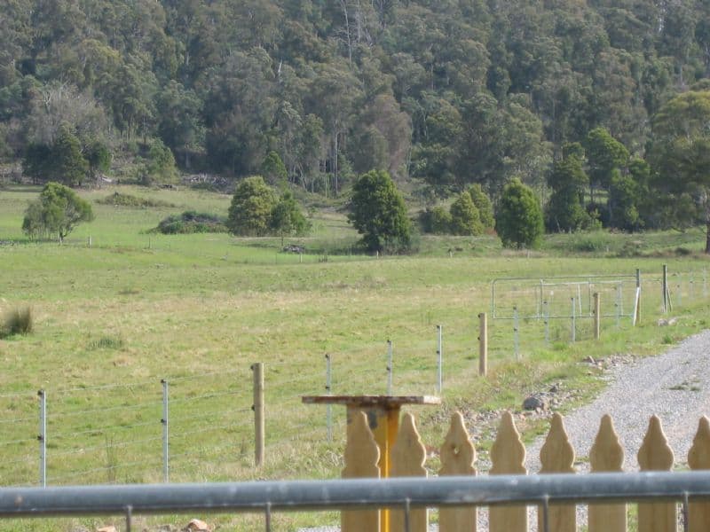 544 Long Plains Road, BRIDGENORTH TAS 7277, Bridgenorth - Thumbnail 5