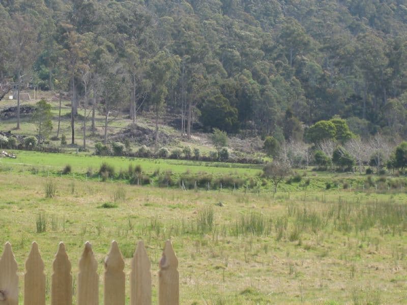 544 Long Plains Road, BRIDGENORTH TAS 7277, Bridgenorth - Thumbnail 7