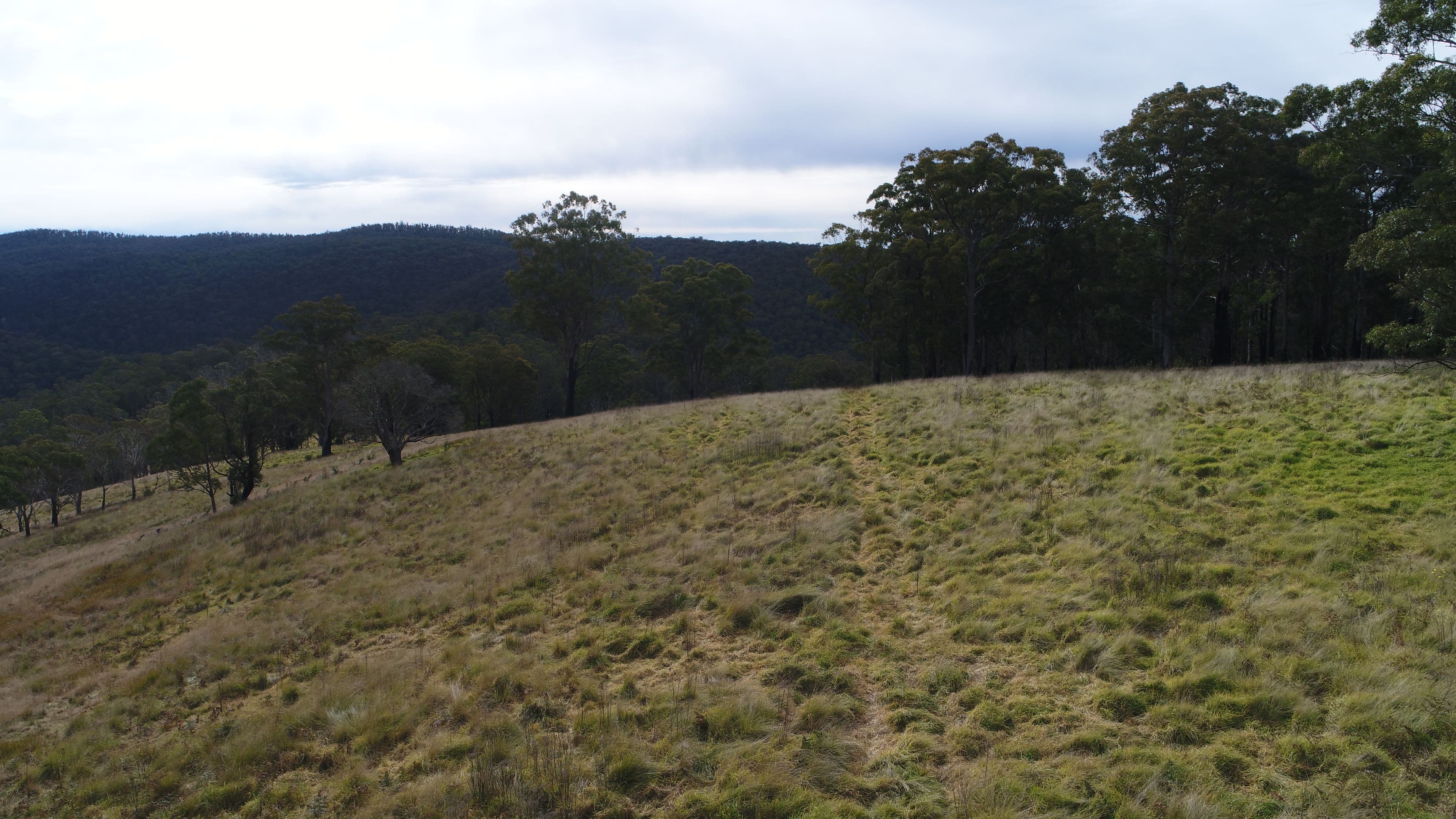 9752 Armidale Road, Marengo NSW 2453, Marengo - Image 1