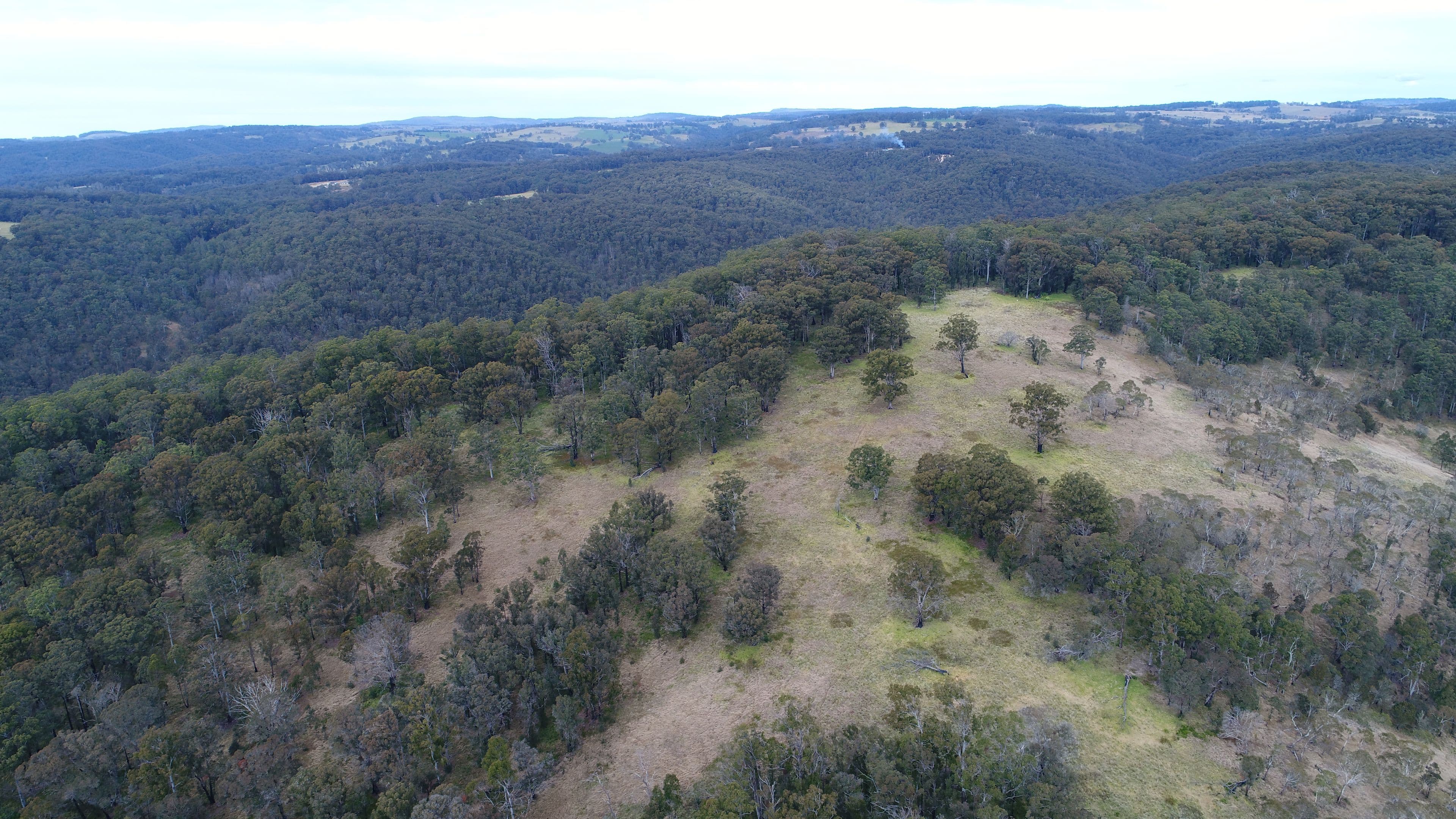 9752 Armidale Road, Marengo NSW 2453, Marengo - Thumbnail 2
