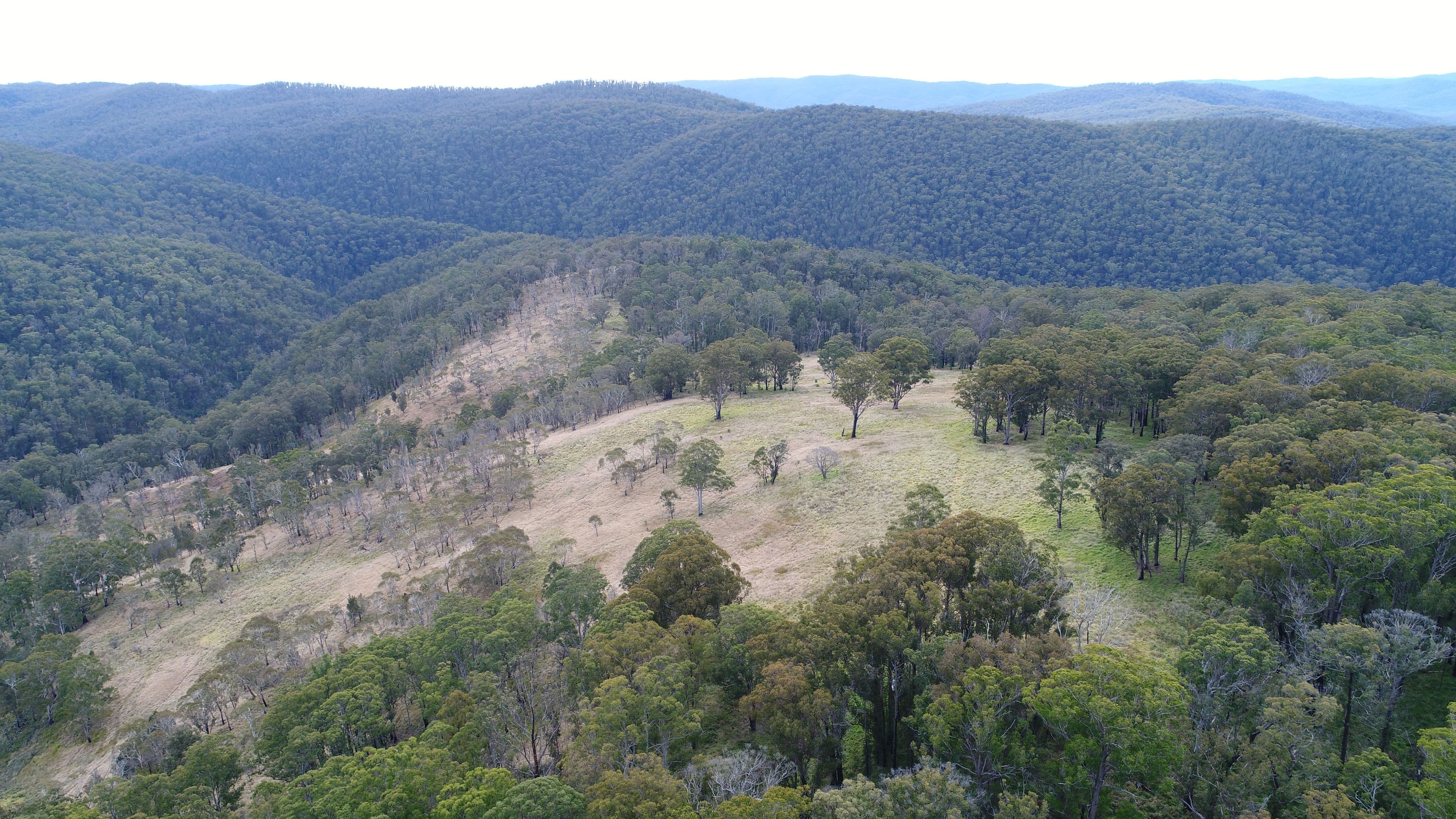 9752 Armidale Road, Marengo NSW 2453, Marengo - Thumbnail 3