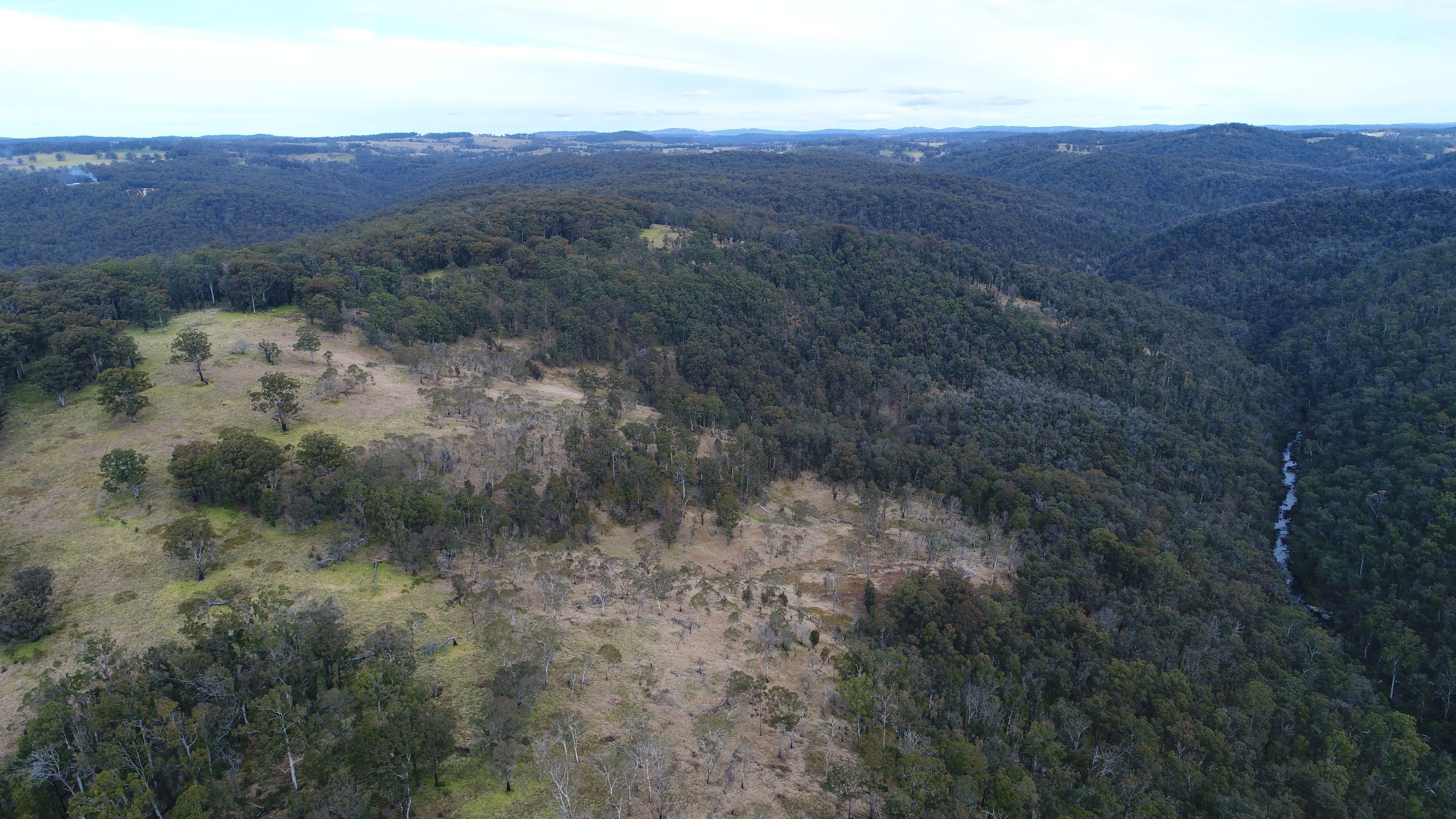 9752 Armidale Road, Marengo NSW 2453, Marengo - Thumbnail 4