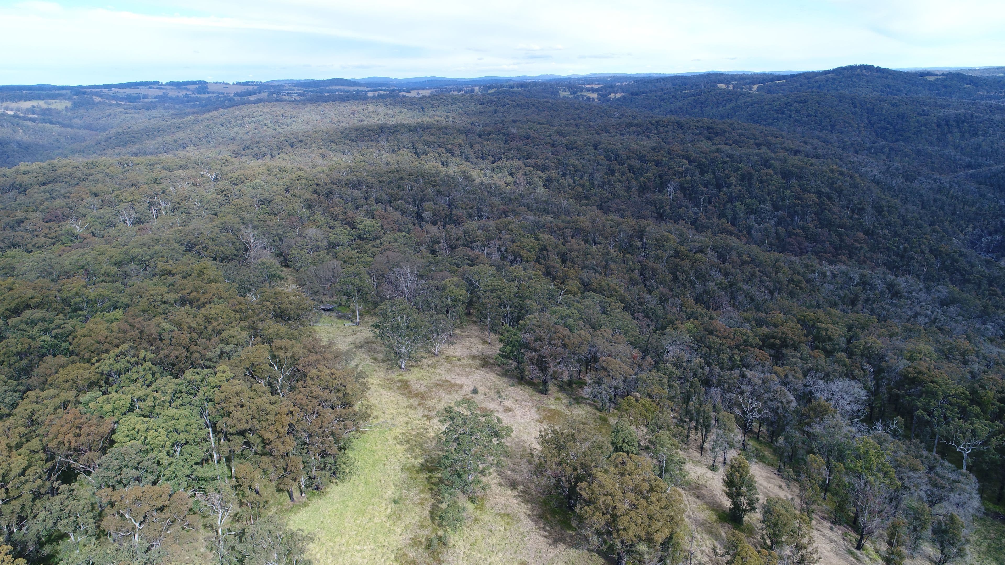 9752 Armidale Road, Marengo NSW 2453, Marengo - Thumbnail 5