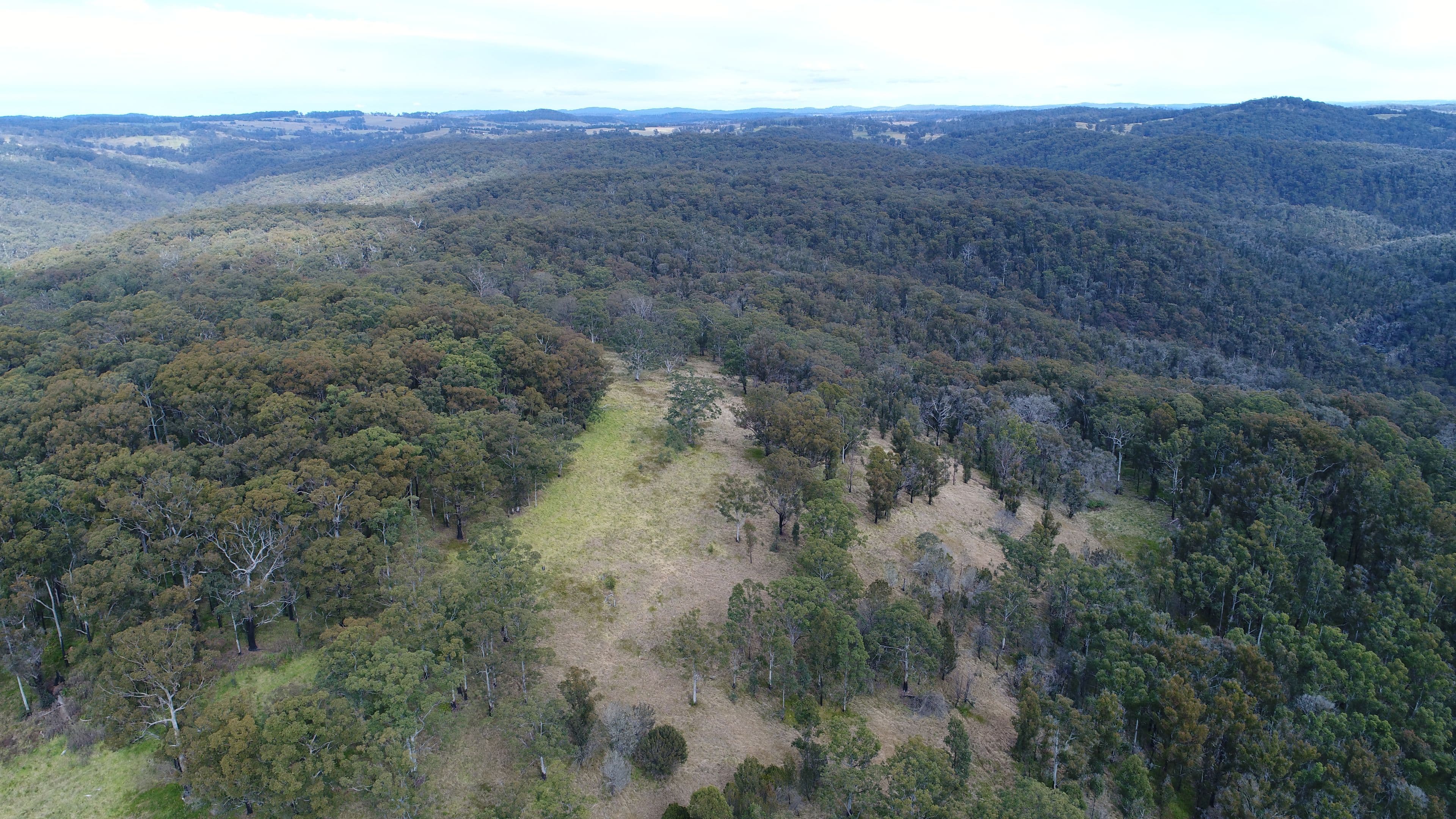 9752 Armidale Road, Marengo NSW 2453, Marengo - Thumbnail 6