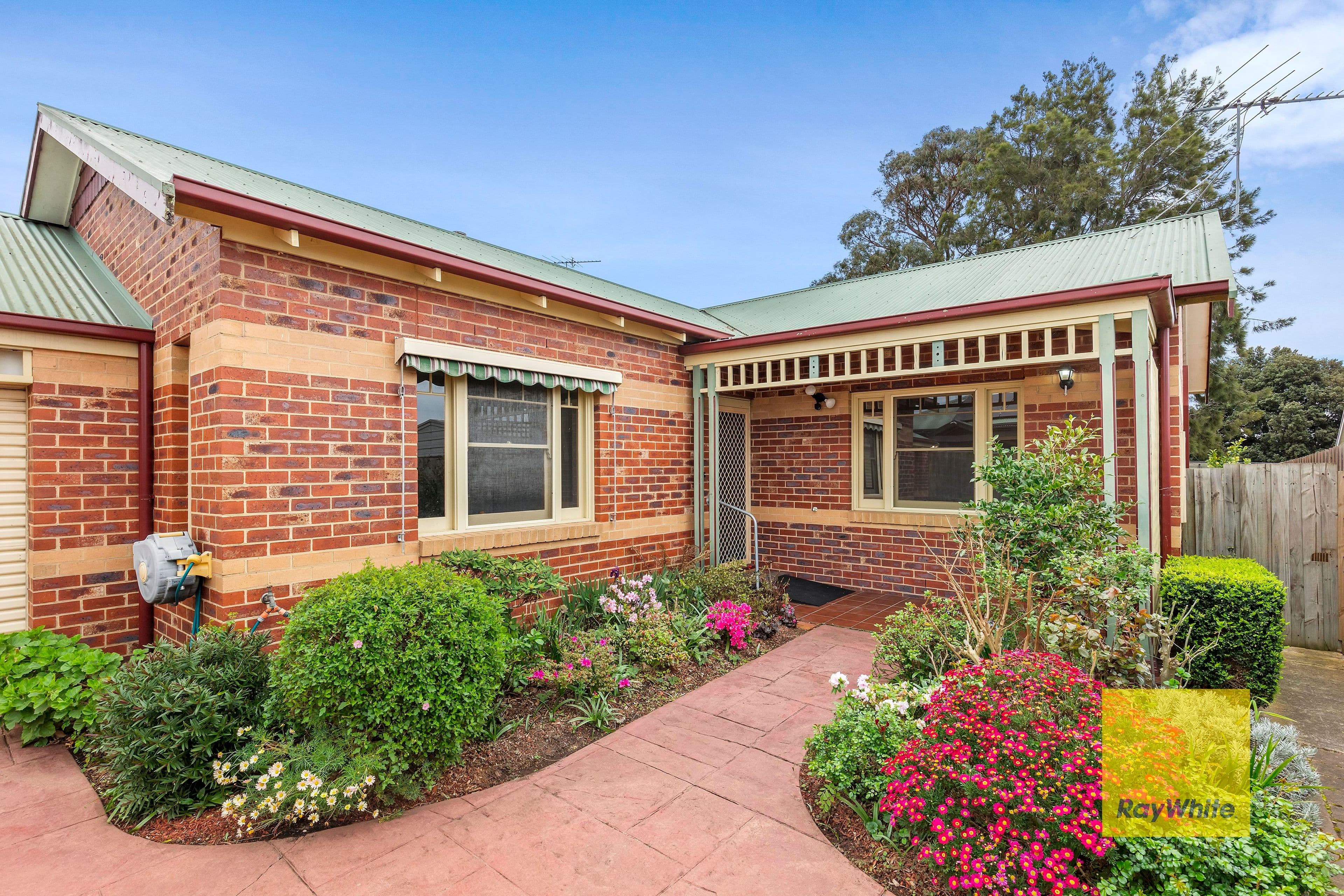 46 Regent Street, Belmont VIC 3216, Belmont - Thumbnail 2