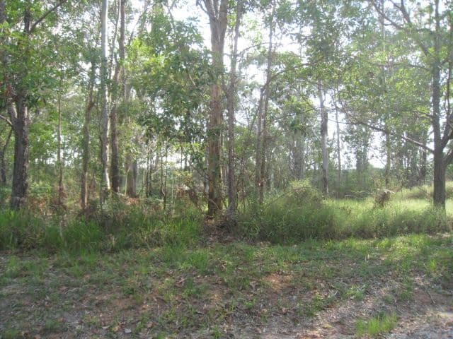 86 Hemp Hill, RUSSELL ISLAND QLD 4184, Russell Island - Thumbnail 2