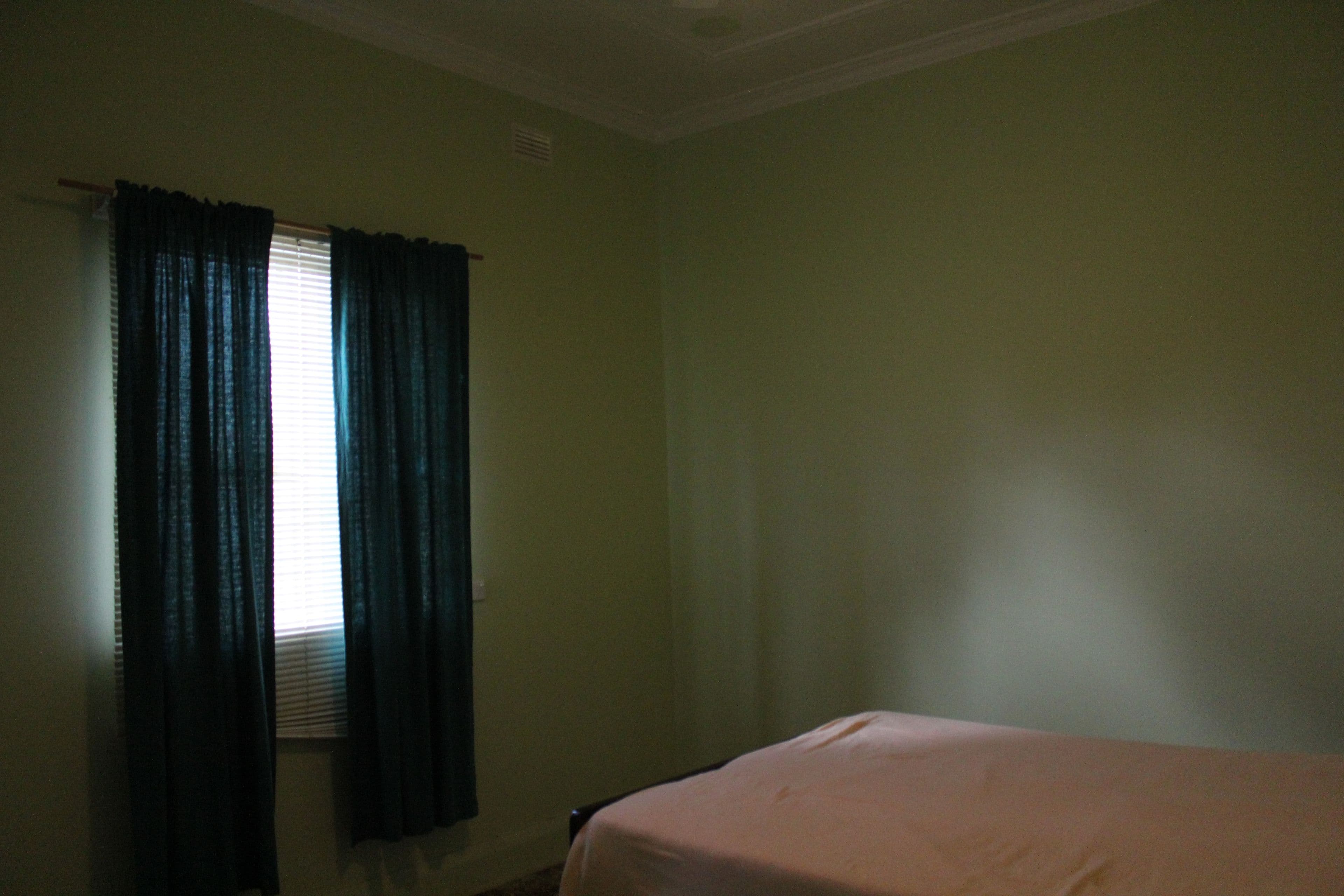 16 Dangar Street, Kempsey NSW 2440, Kempsey - Thumbnail 5
