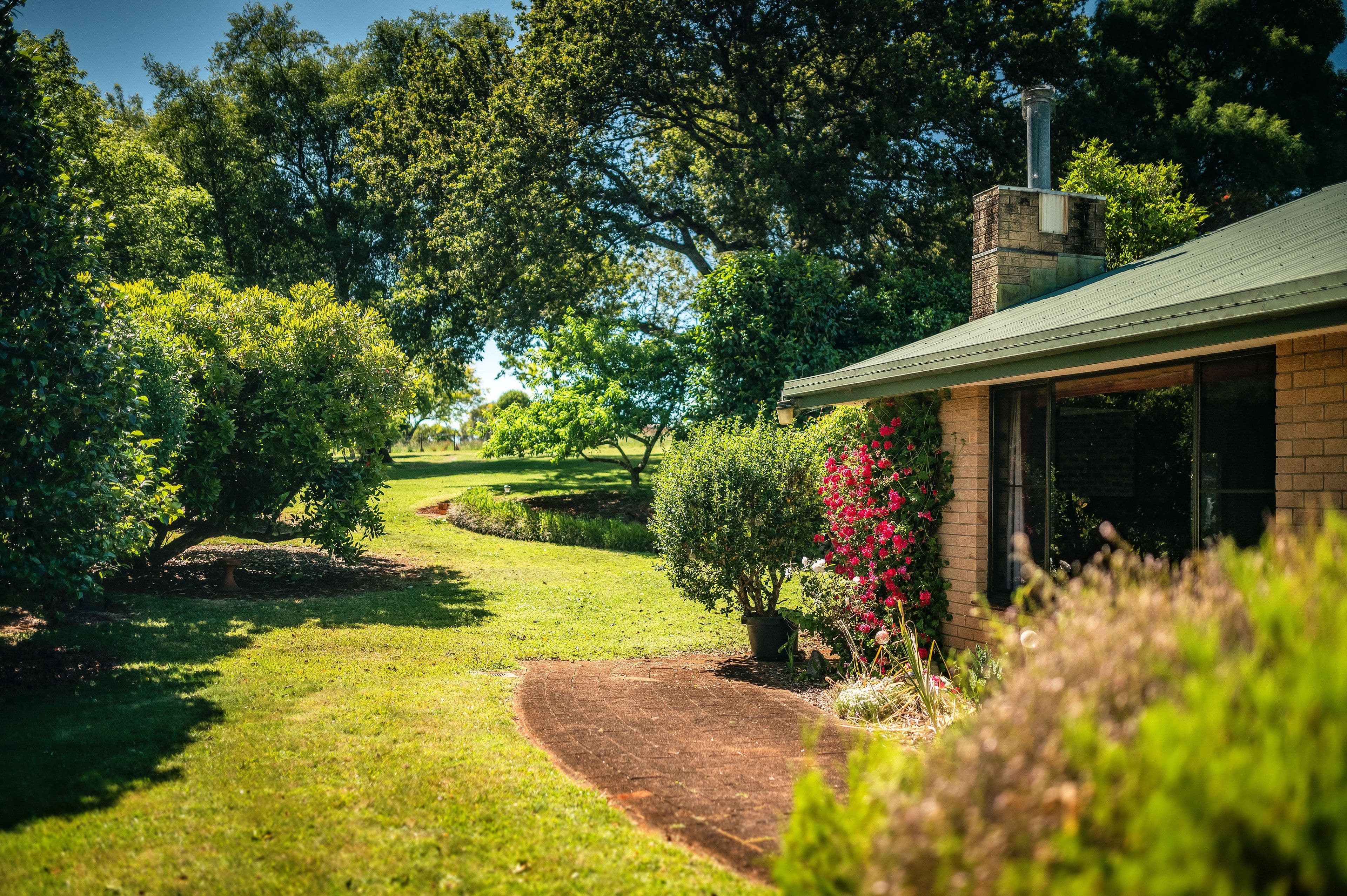 39 Summit Close, Dorrigo NSW 2453, Dorrigo - Image 1