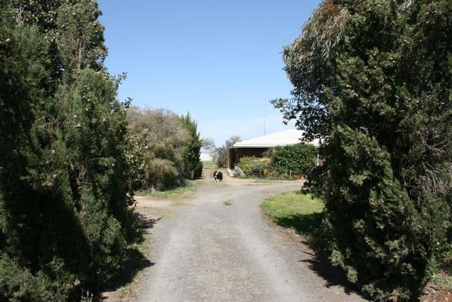 1 Napier Street, FARRELL FLAT SA 5416, Farrell Flat - Thumbnail 2