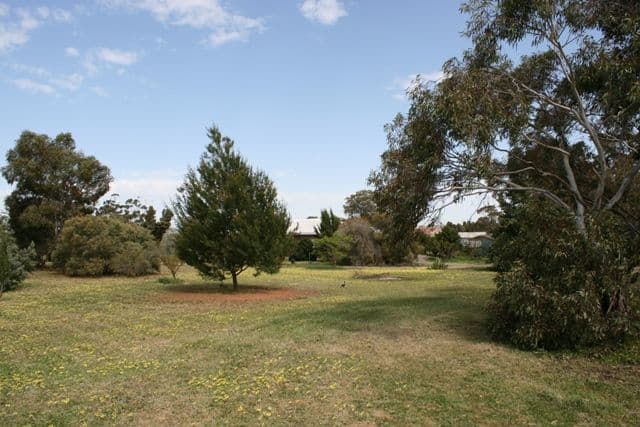 1 Napier Street, FARRELL FLAT SA 5416, Farrell Flat - Thumbnail 7