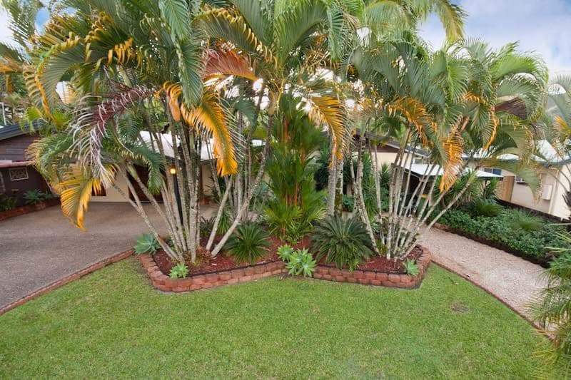 11 Mermaid Close, BENTLEY PARK QLD 4869, Bentley Park - Thumbnail 3