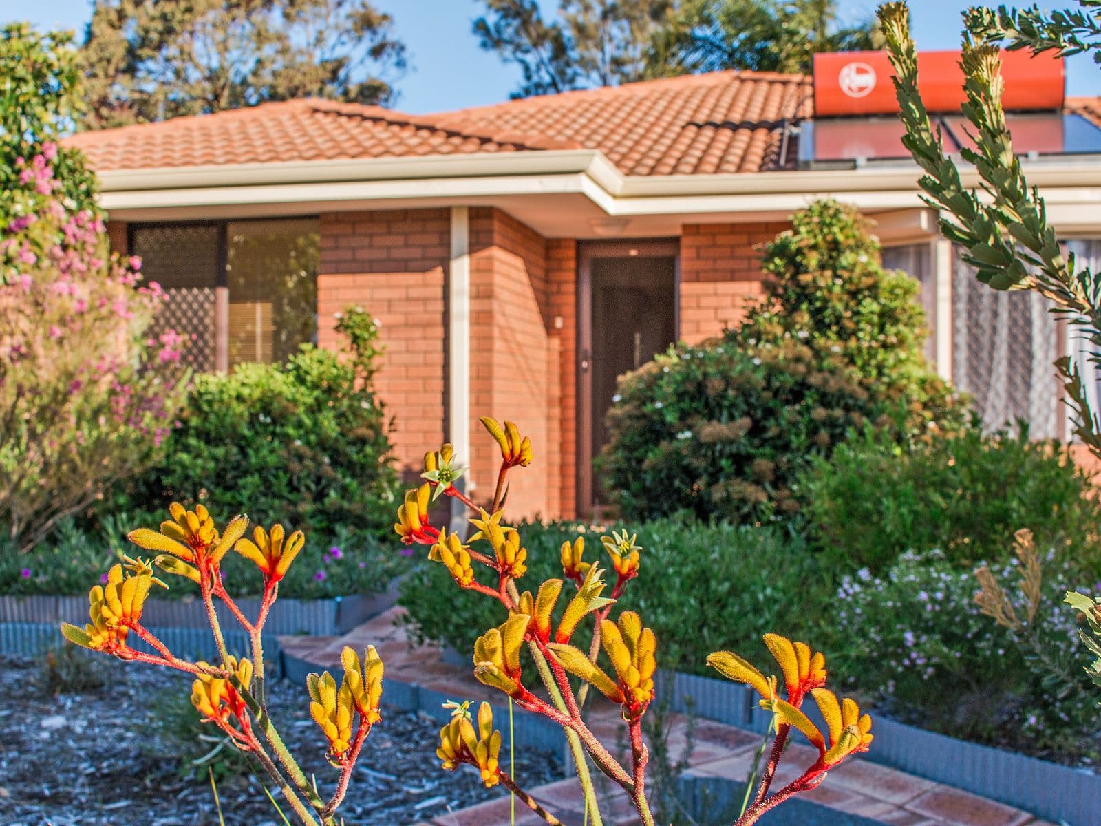 21a Norring Street, Cooloongup WA 6168, Cooloongup - Thumbnail 2