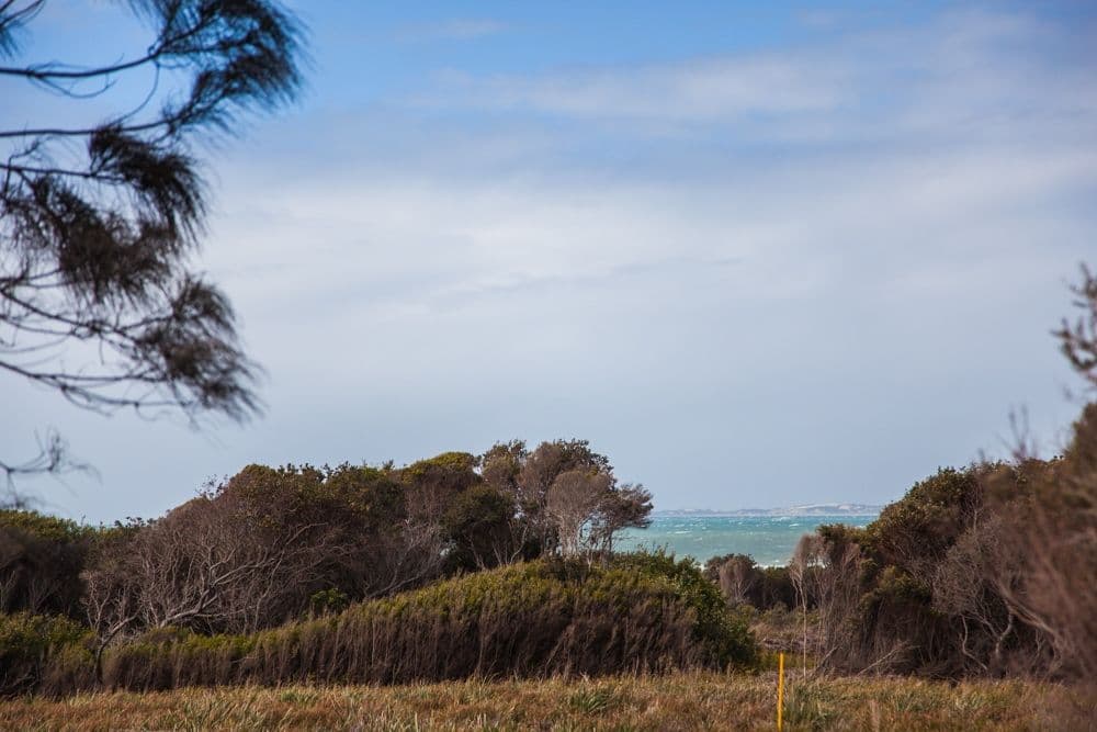6 Ninth Island Crescent, LULWORTH TAS 7252, Lulworth - Image 1