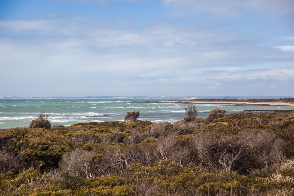 6 Ninth Island Crescent, LULWORTH TAS 7252, Lulworth - Thumbnail 2