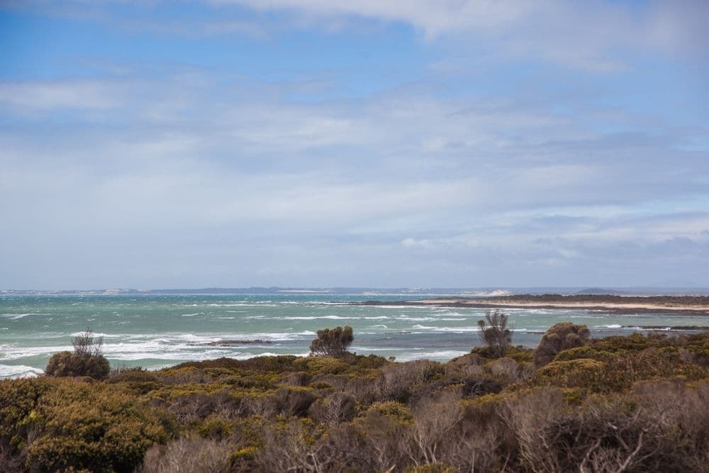 6 Ninth Island Crescent, LULWORTH TAS 7252, Lulworth - Thumbnail 3