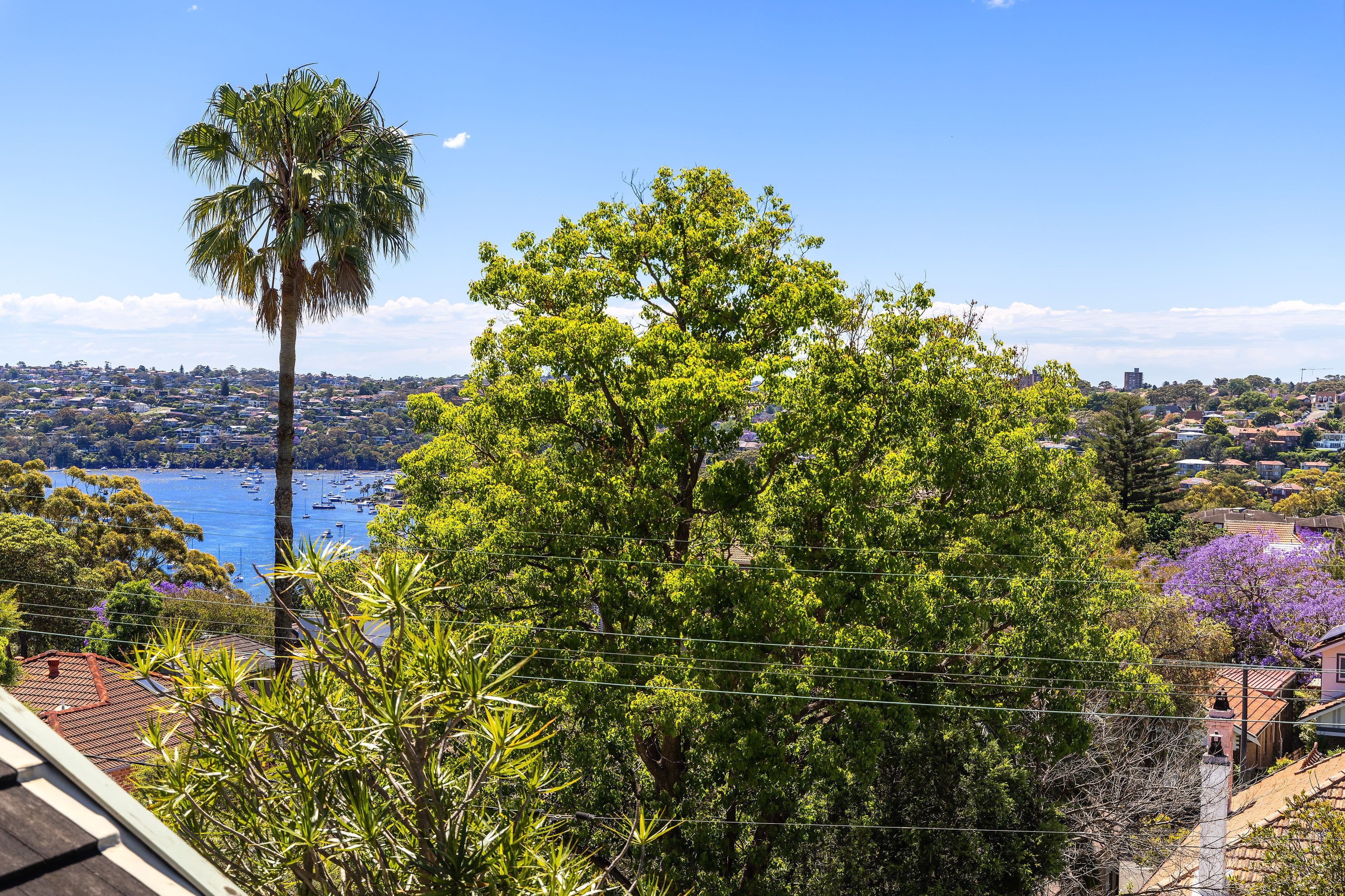 10 Wilson Street, Cammeray NSW 2062, Cammeray - Thumbnail 6