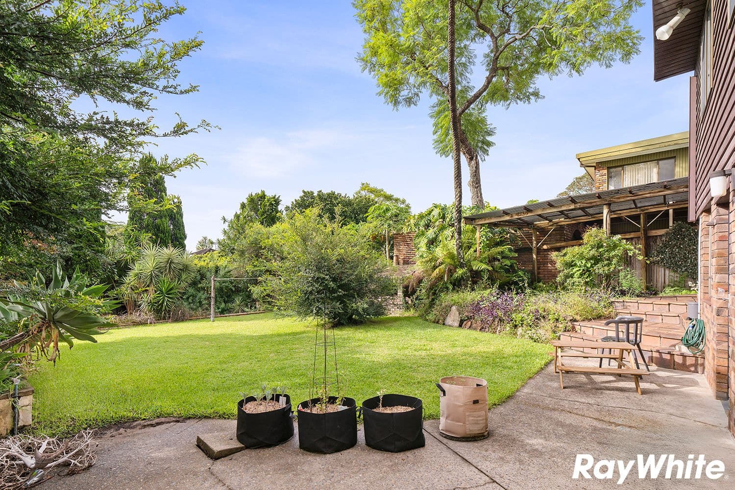 129 Charles Street, Putney NSW 2112, Putney - Thumbnail 8