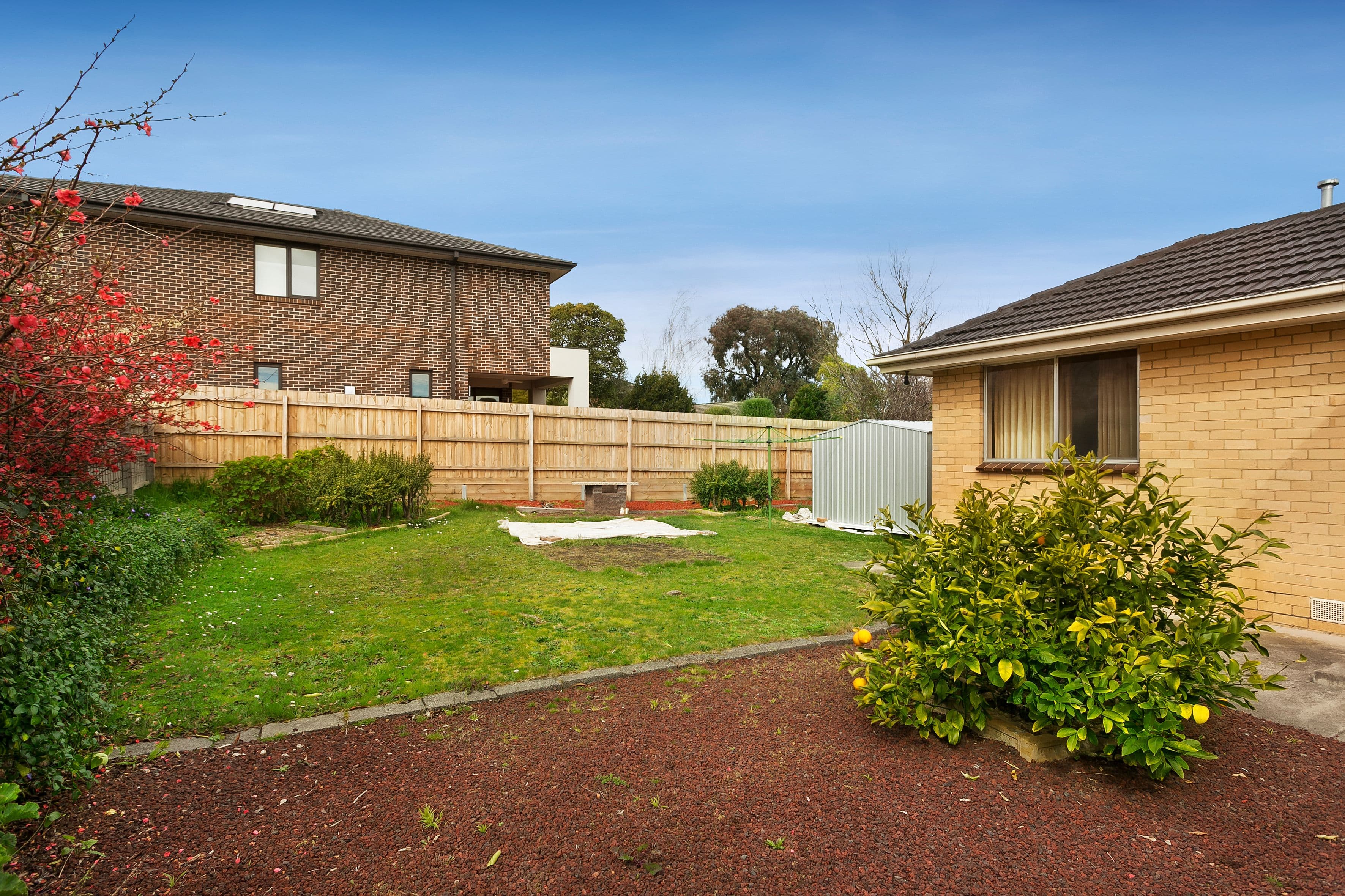 24 Orchard Street, Glen Waverley VIC 3150, Glen Waverley - Thumbnail 7