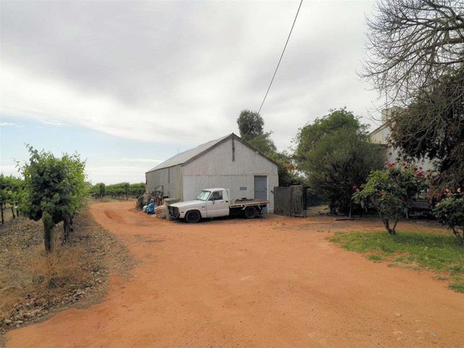 66 Oleander Drive, Coomealla - Thumbnail 6