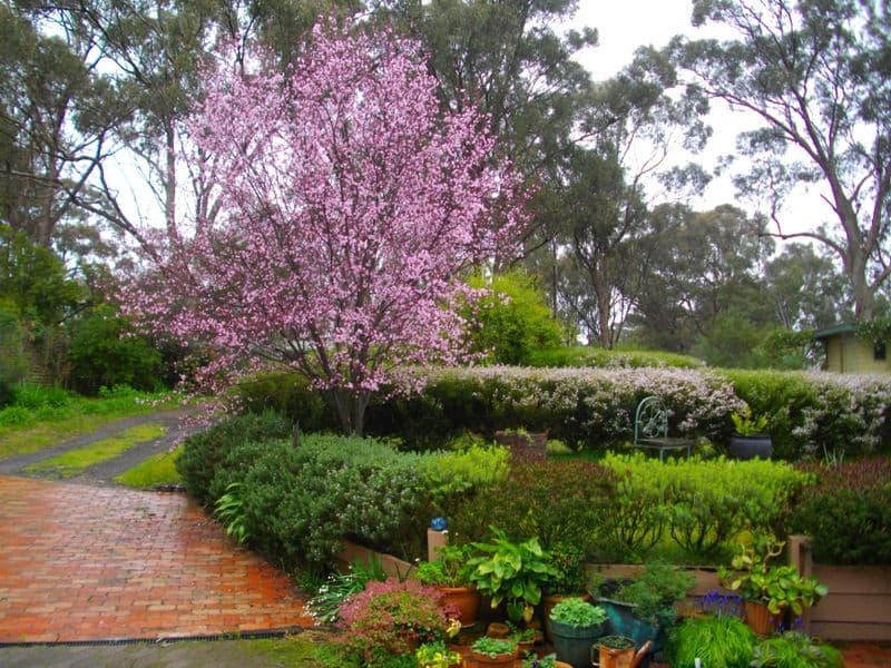 55 Baxters Road, NAGAMBIE VIC 3608, Nagambie - Thumbnail 8