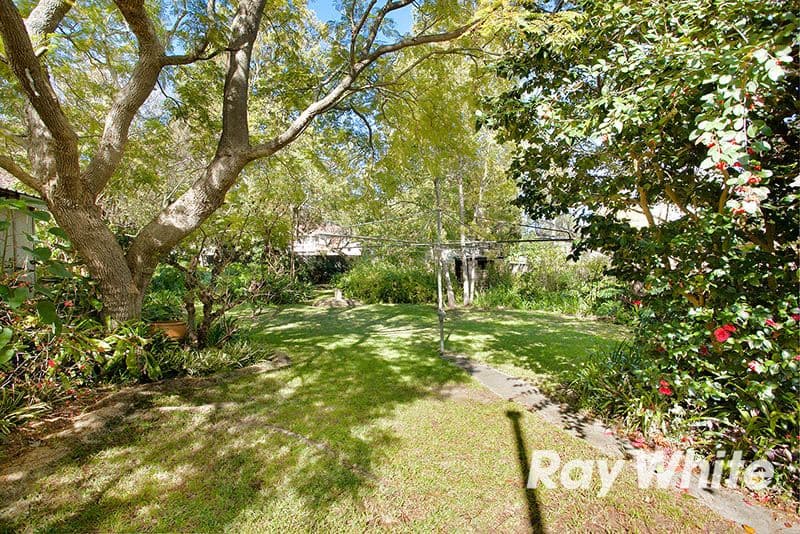 25 William Road, RIVERWOOD NSW 2210, Riverwood - Thumbnail 7