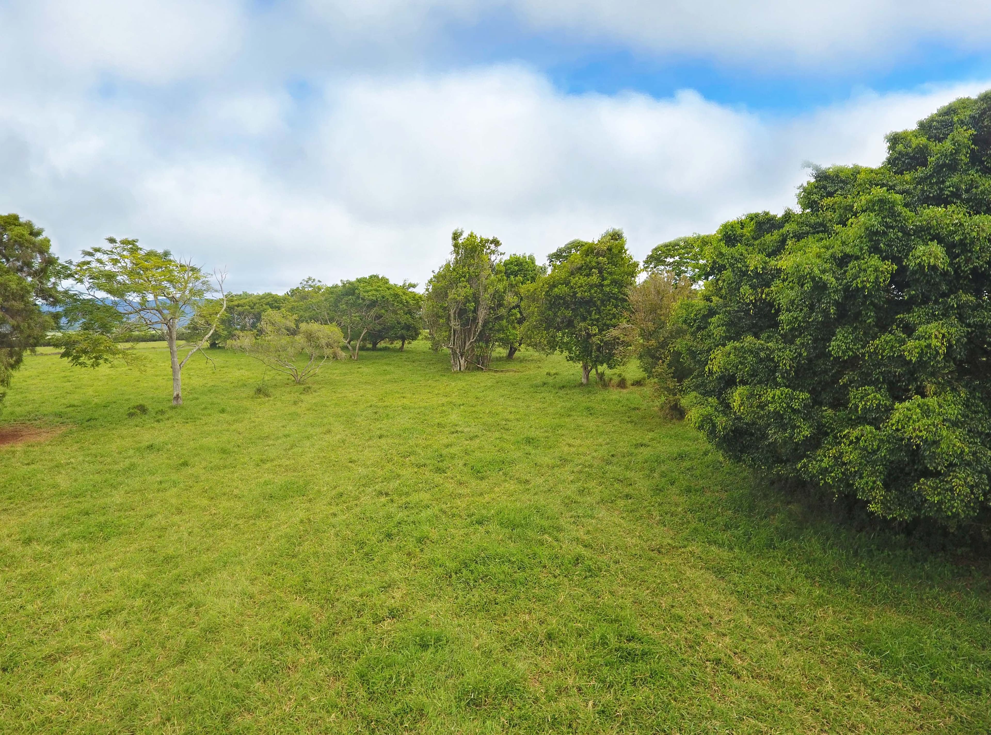164 Rockley Road, Atherton QLD 4883, Atherton - Thumbnail 3