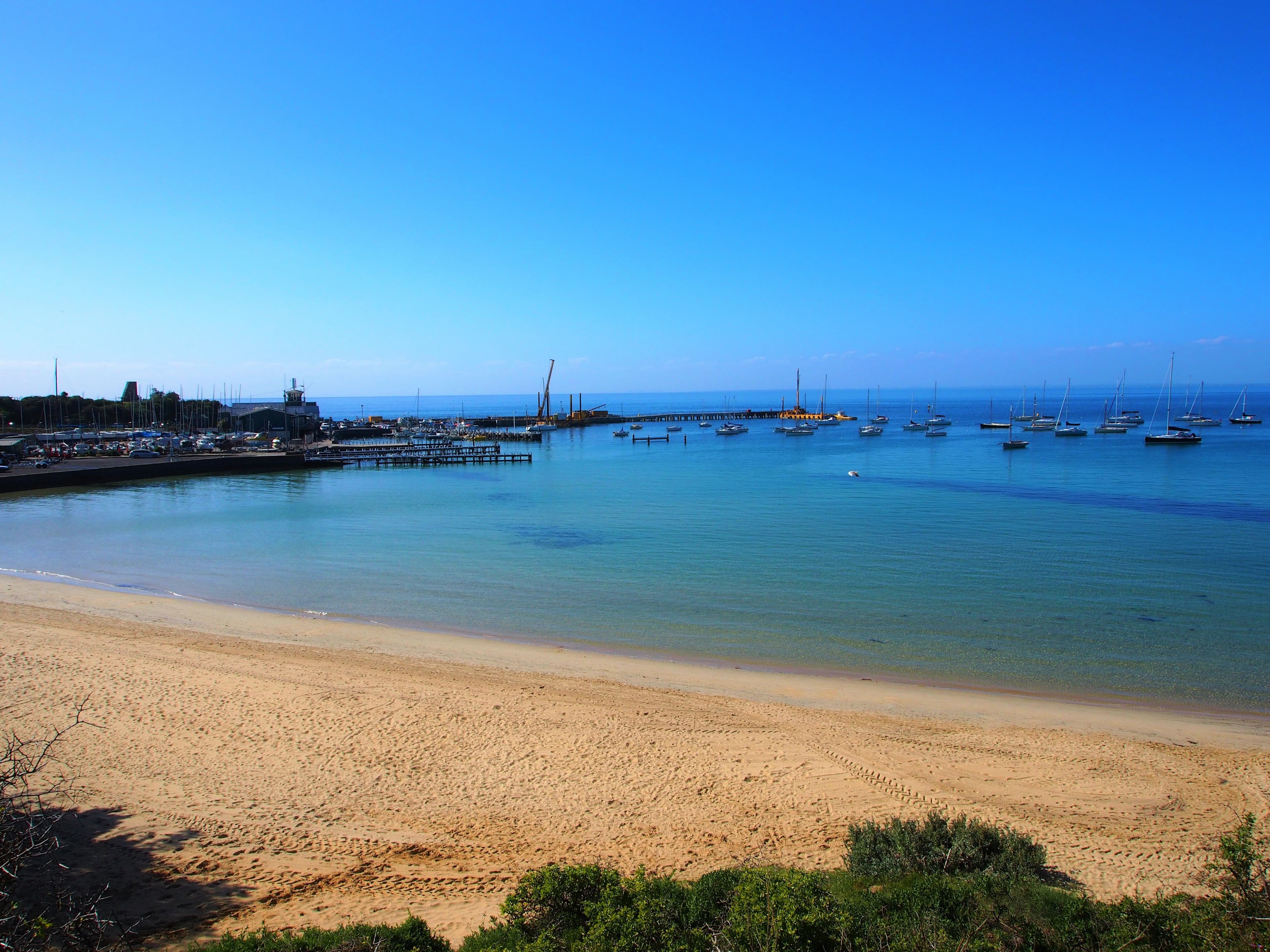 11 Shelbourne Court, Mornington VIC 3931, Mornington - Thumbnail 2