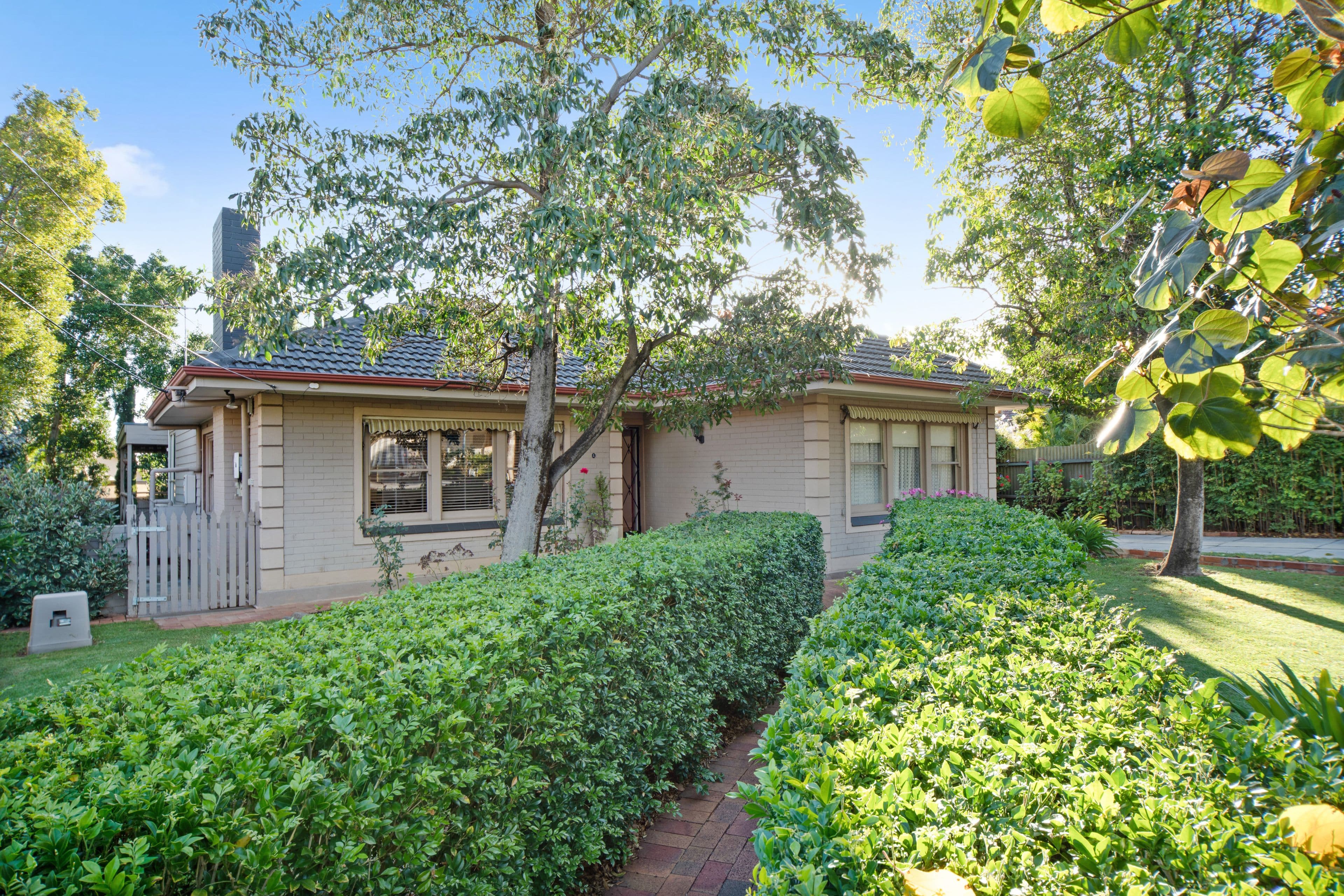 1 Chase Grove, Vale Park SA 5081, Vale Park - Thumbnail 2