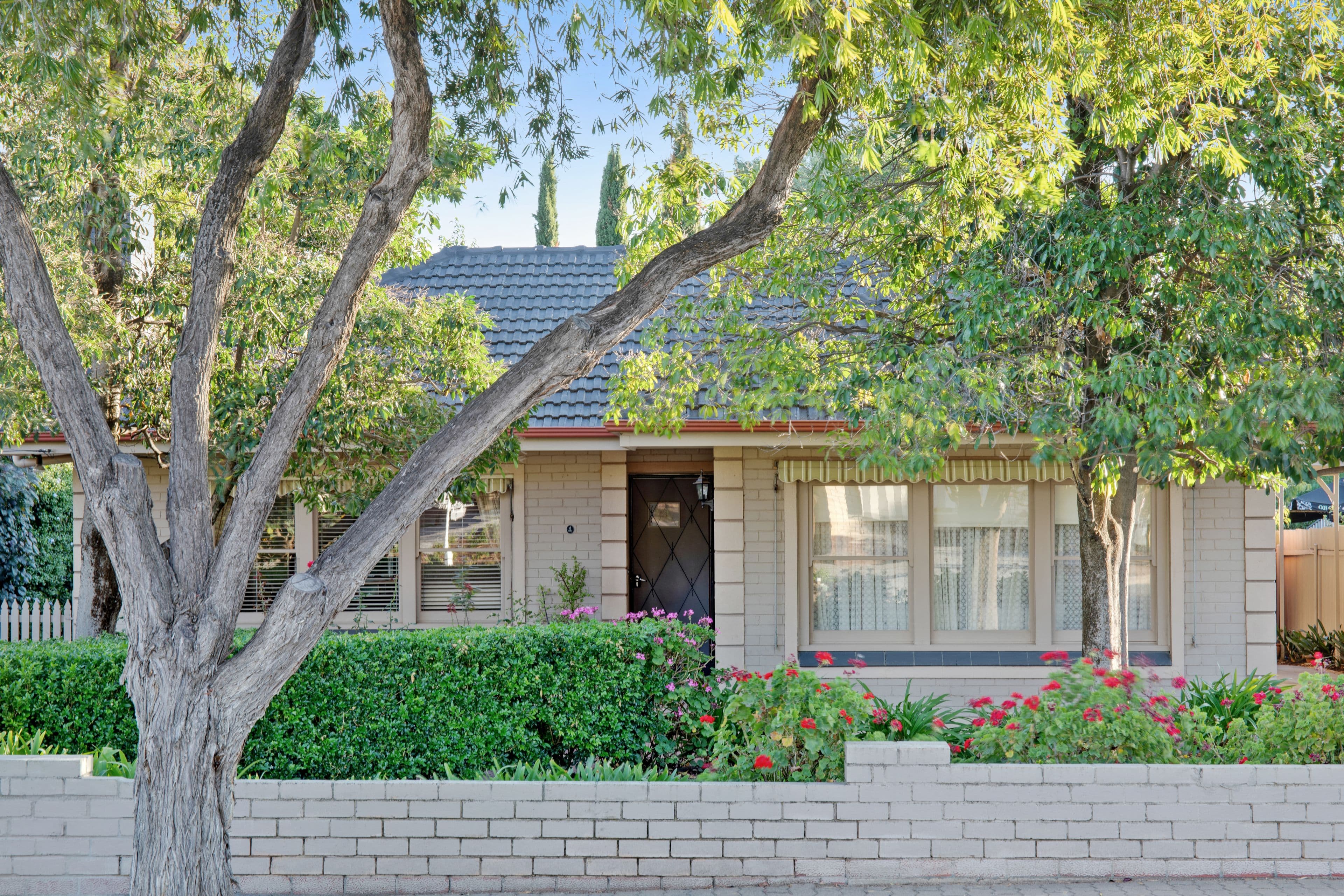 1 Chase Grove, Vale Park SA 5081, Vale Park - Thumbnail 3