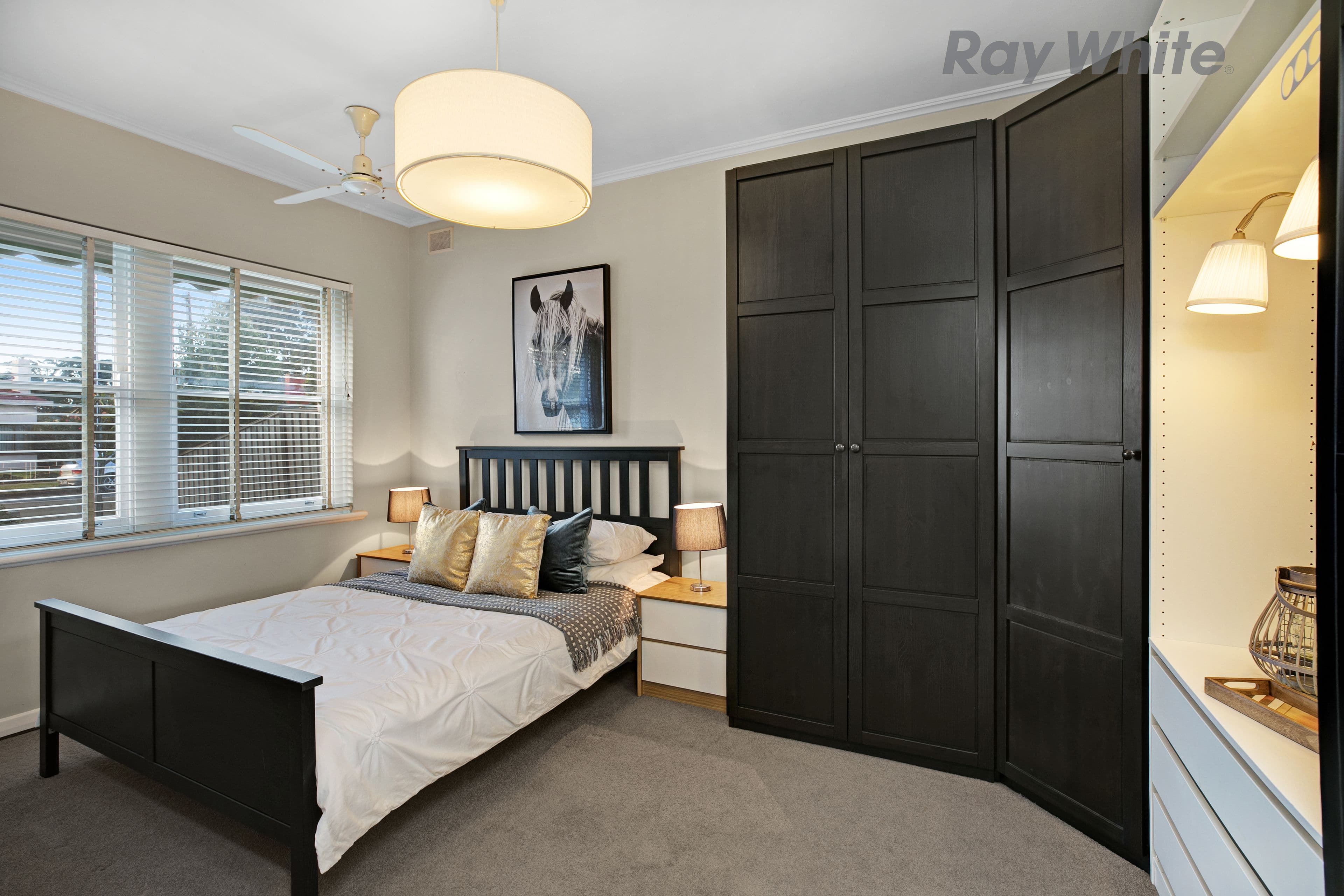 42 Ranelagh Street, Glengowrie SA 5044, Glengowrie - Thumbnail 4