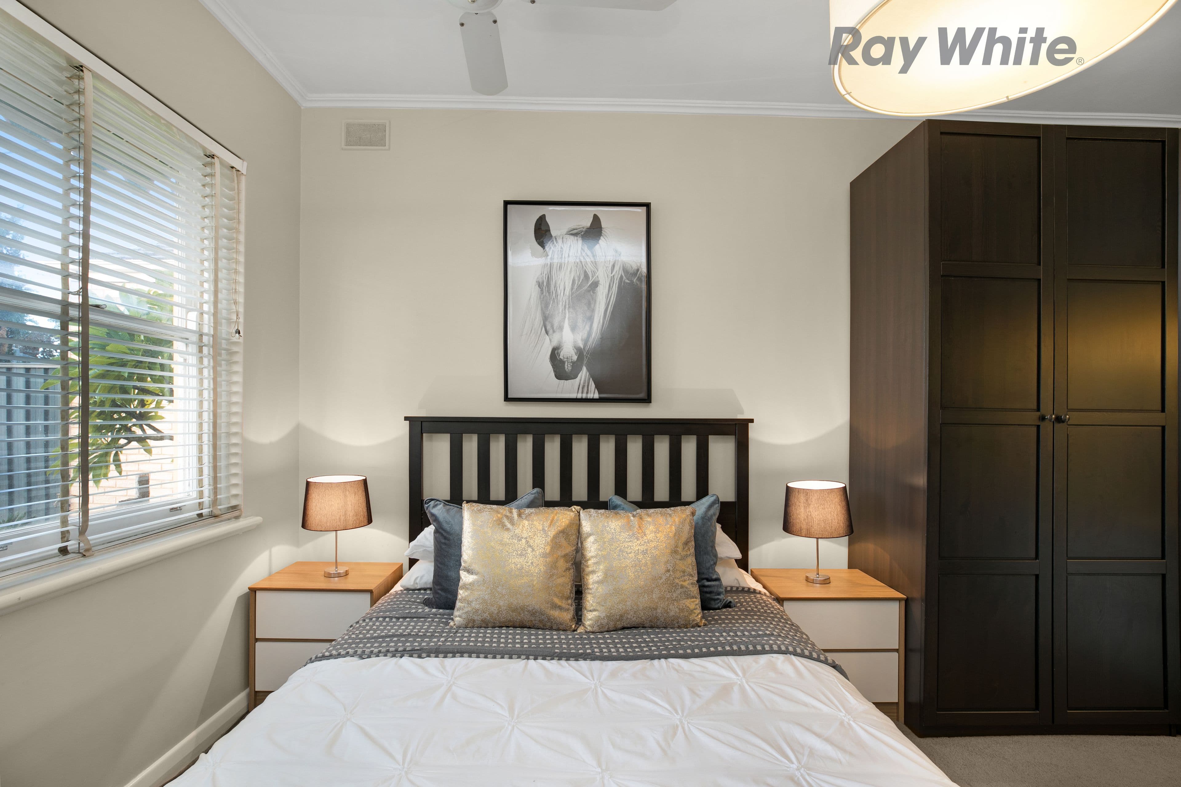 42 Ranelagh Street, Glengowrie SA 5044, Glengowrie - Thumbnail 6