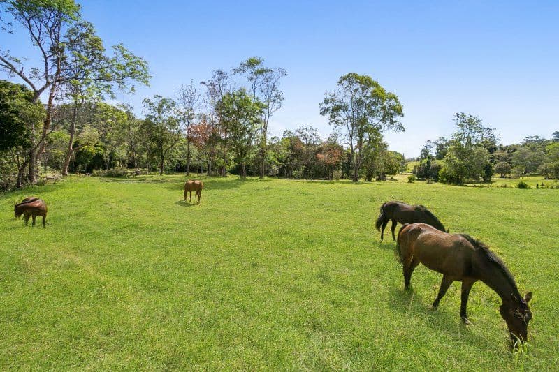 272 Upper Brookfield Road, Upper Brookfield QLD 4069, Upper Brookfield - Thumbnail 3