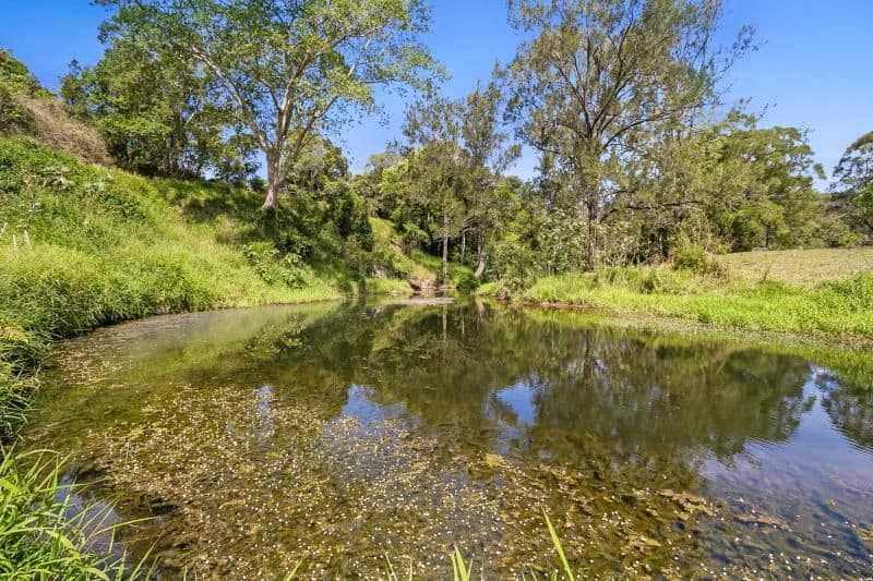 272 Upper Brookfield Road, Upper Brookfield QLD 4069, Upper Brookfield - Thumbnail 4