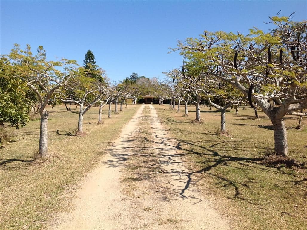 56 Greens Road, ALTON DOWNS QLD 4702, Alton Downs - Thumbnail 2