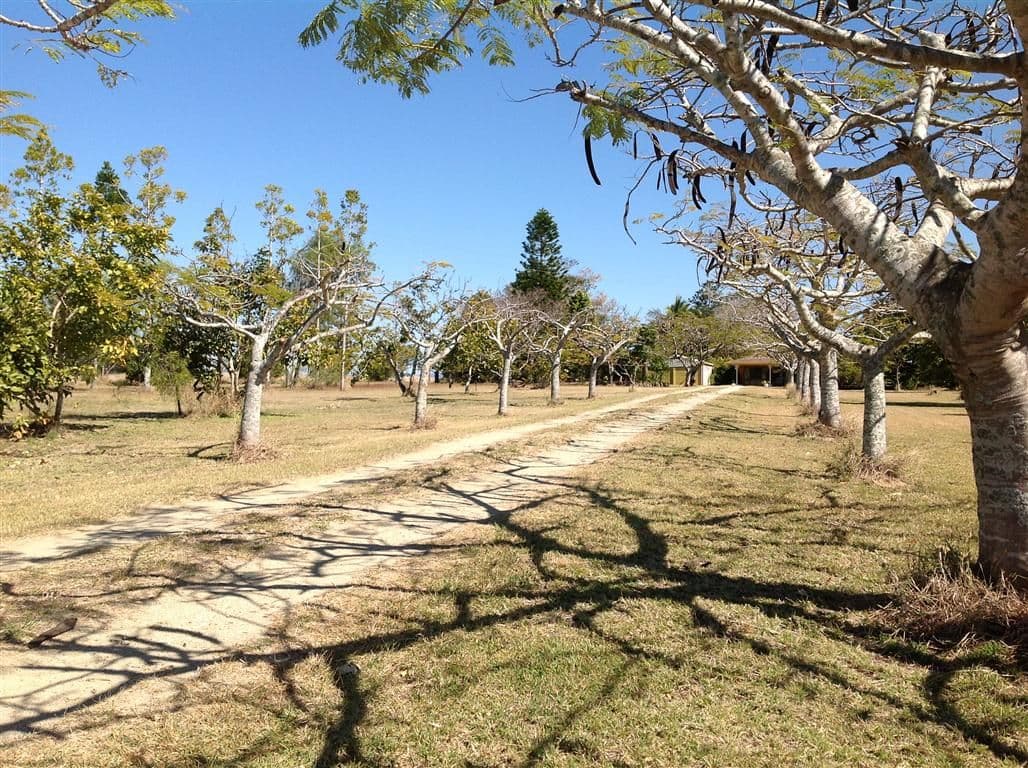 56 Greens Road, ALTON DOWNS QLD 4702, Alton Downs - Thumbnail 5